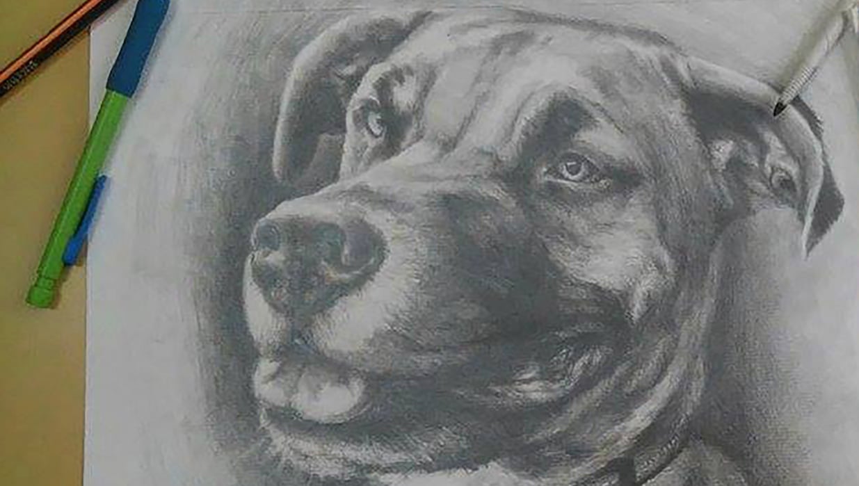 Freehand drawings - 12 to 15 minutes - student project