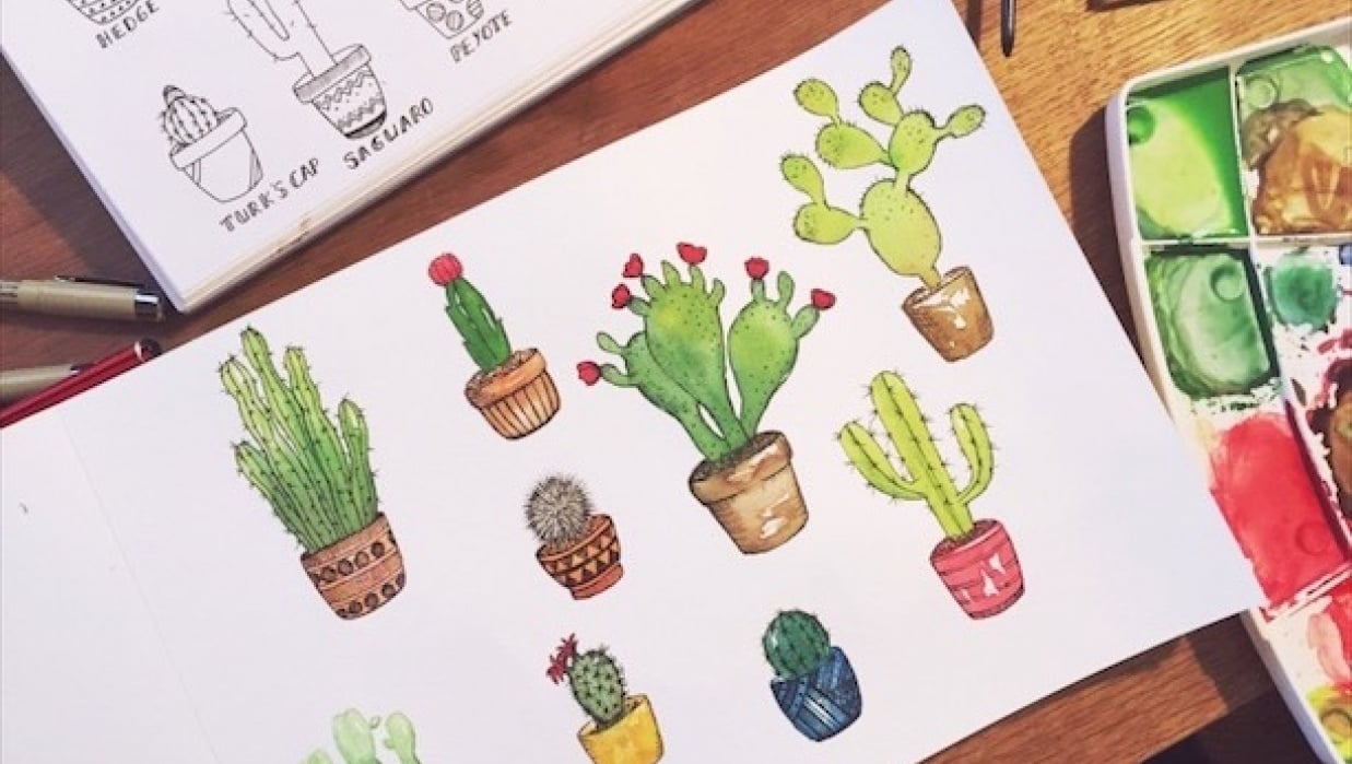Cactus pen with watercolours - student project