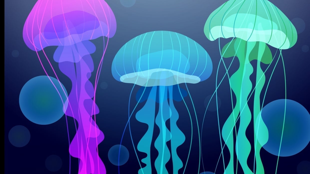 Experiment Gradient and Blend Tool - student project