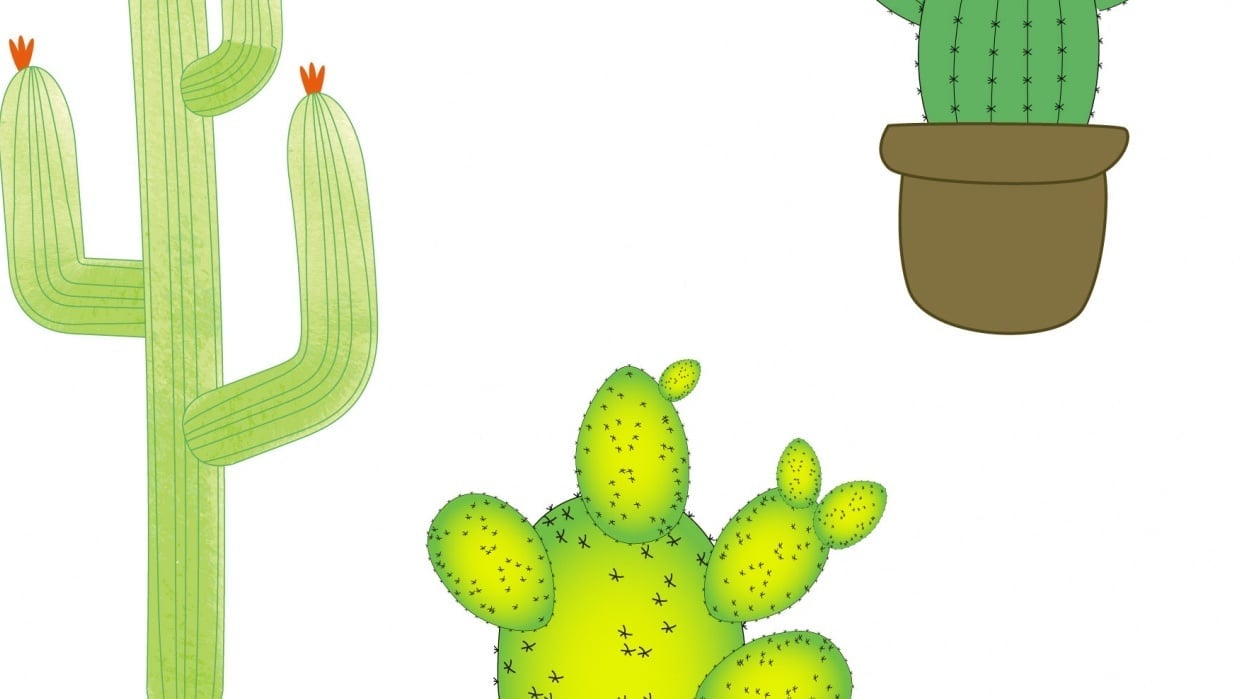 Cacti fun - student project