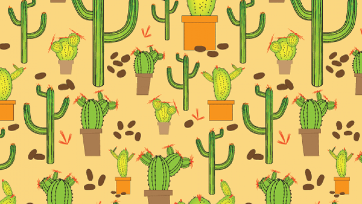 Cacti Project - student project