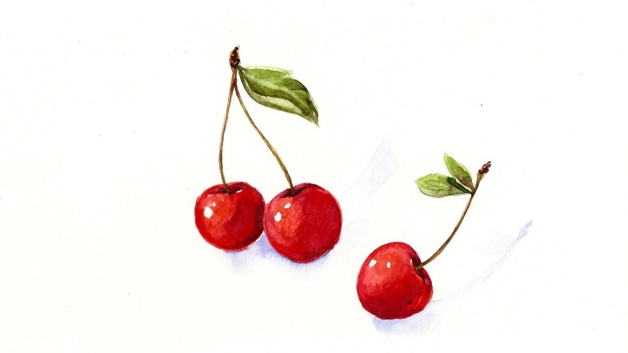 Sample project Watercolor Cherries - student project
