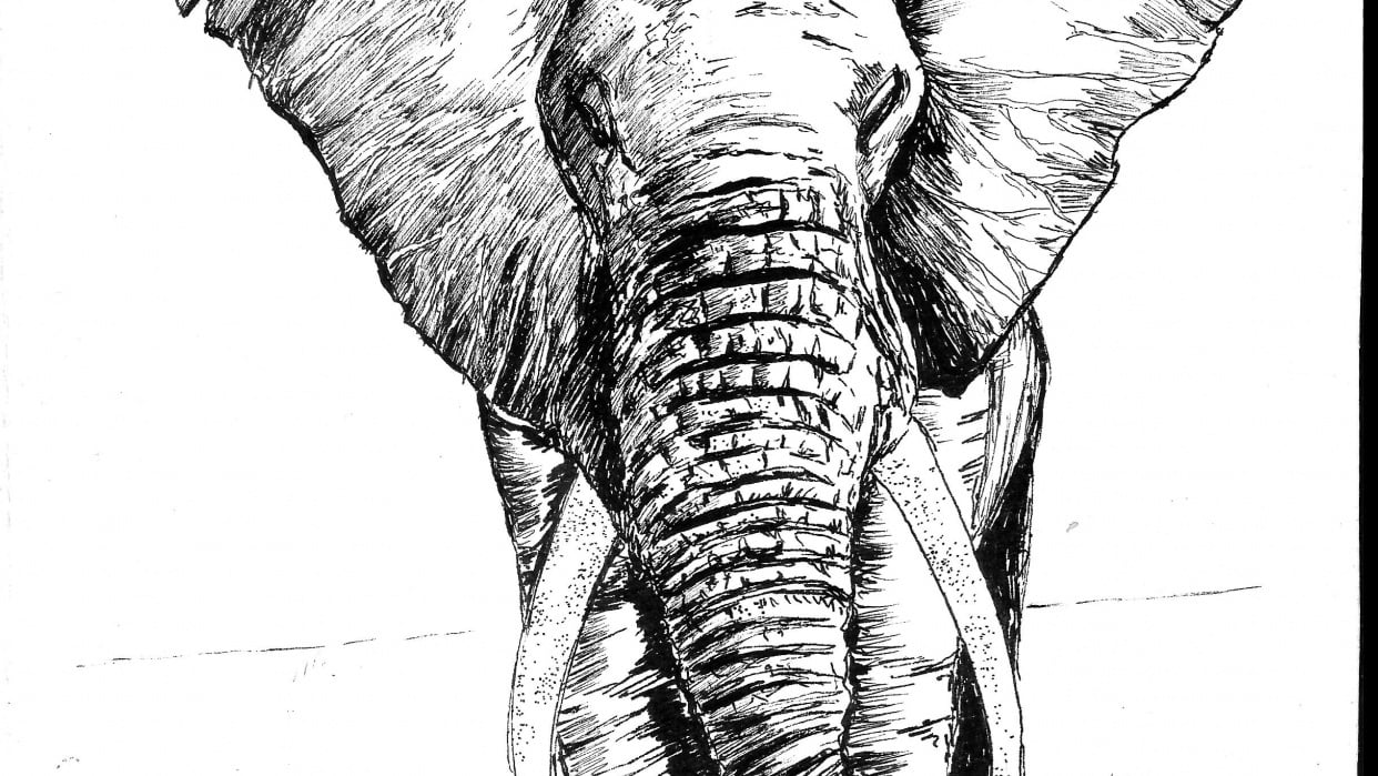 Drawing Animals using Pen, Inks and Watercolors - Published! | Skillshare Student Project Drawing Animals using Pen, Inks and Watercolors - Published! | Skillshare Student Project