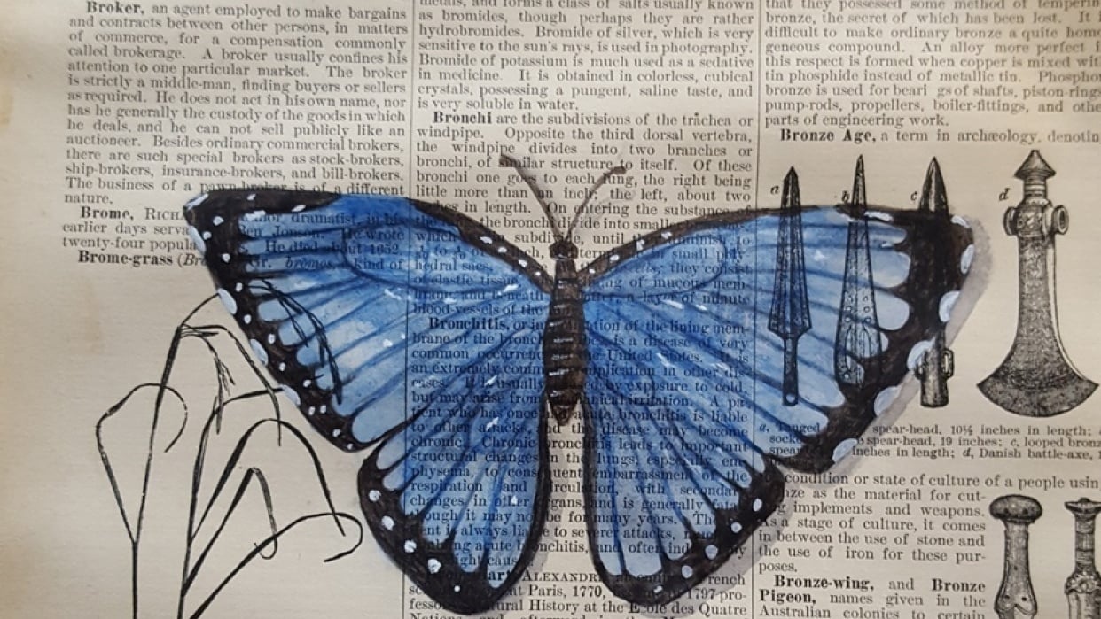 Butterfly on a book page Skillshare Student Project