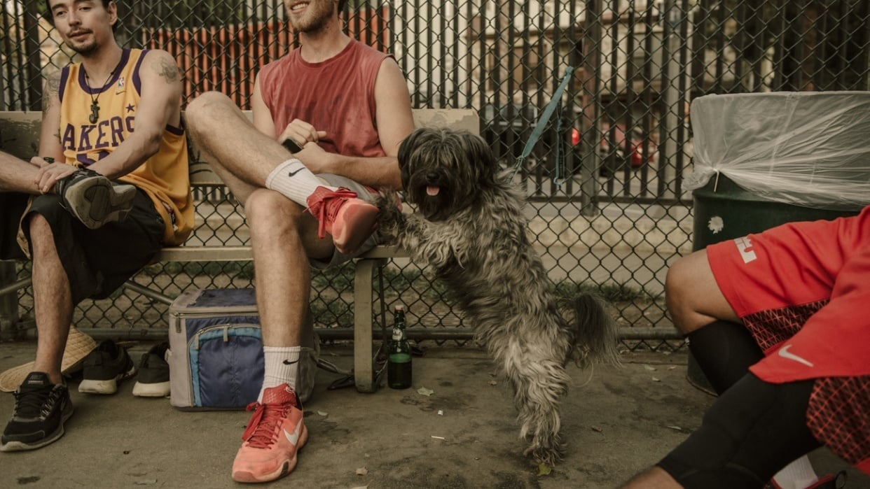 What Pick Up Basketball Reveals about LA Skillshare Student Project