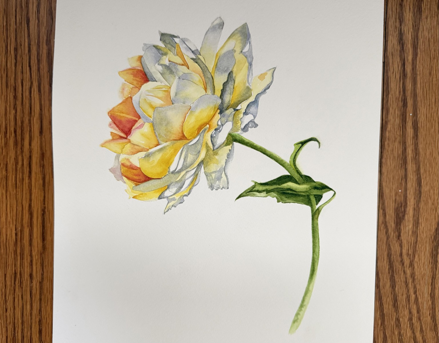 Yellow Rose - image 1 - student project