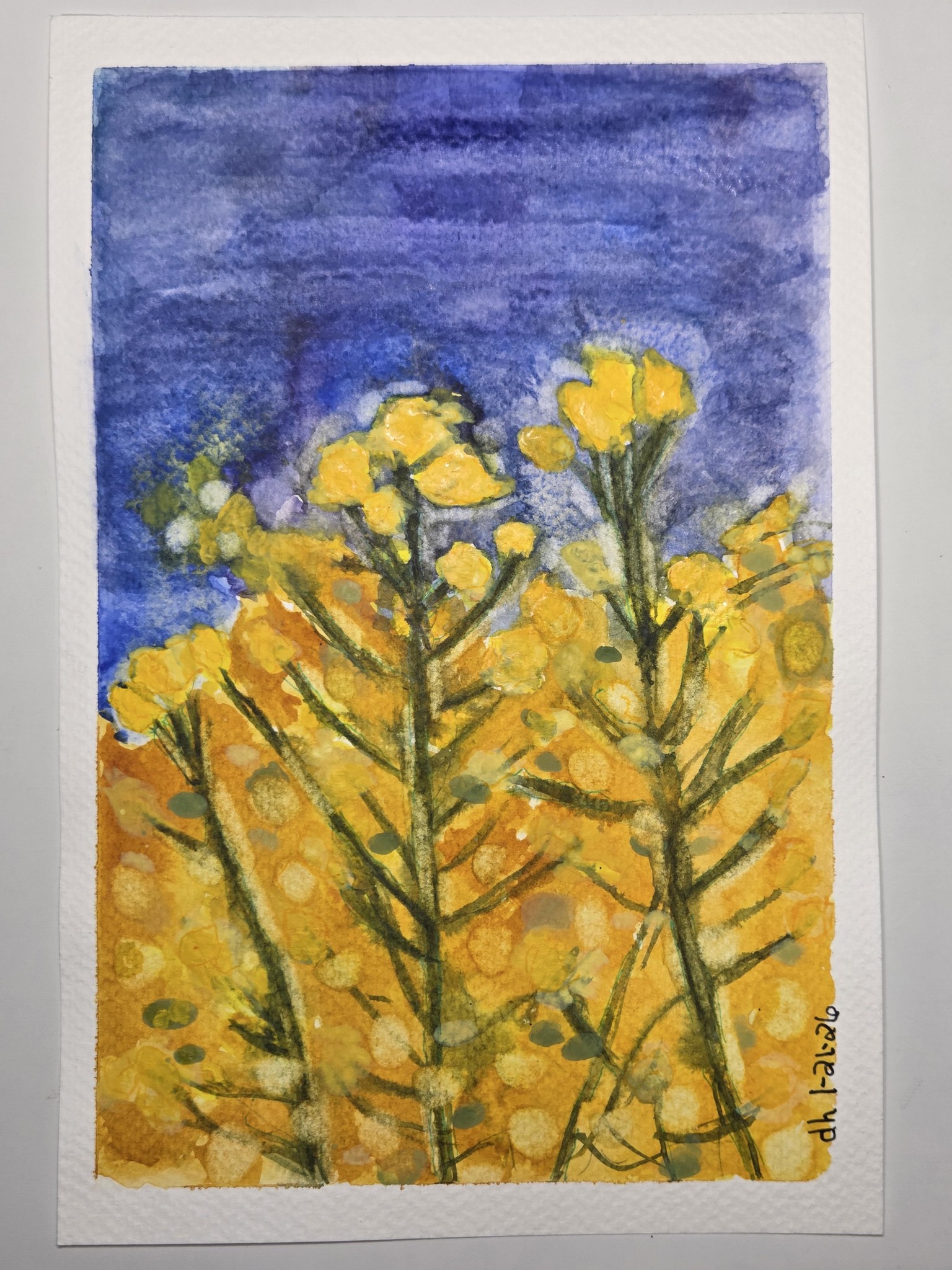 All 6 paintings - Mastering Loose Watercolors - image 6 - student project