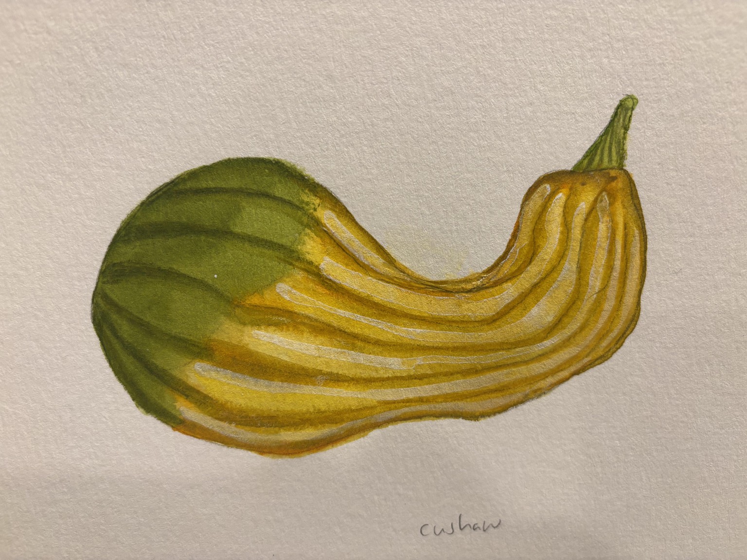 More pumpkins - image 1 - student project