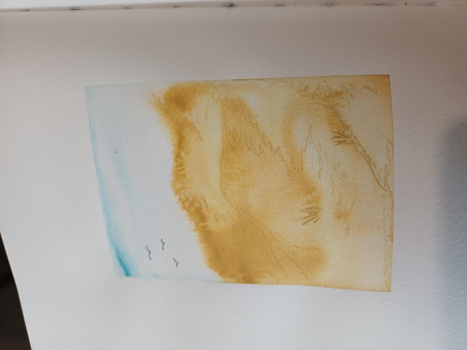 Not daily, but often! - image 1 - student project