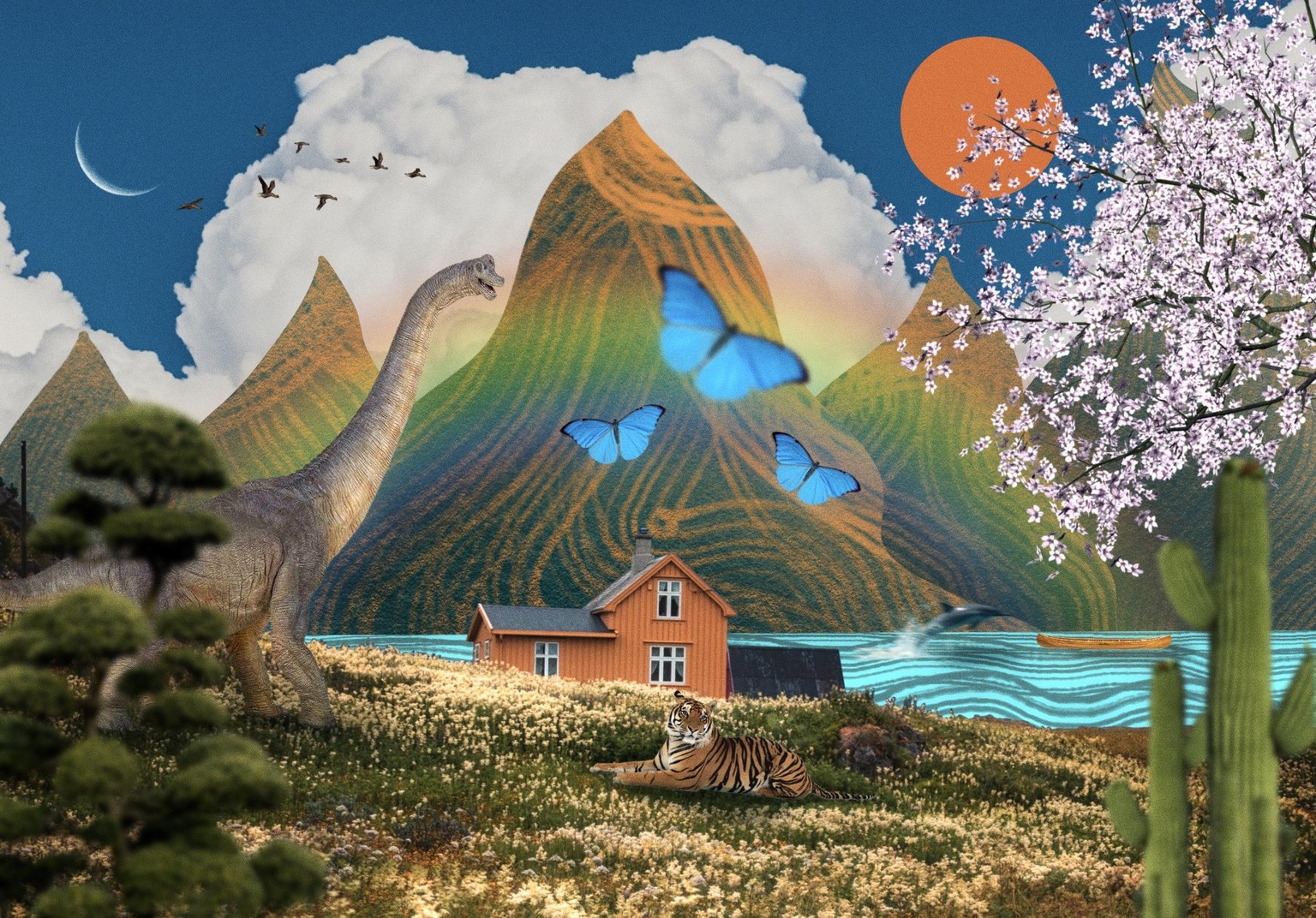 The Shyness of the Moon Before the Sun - image 1 - student project