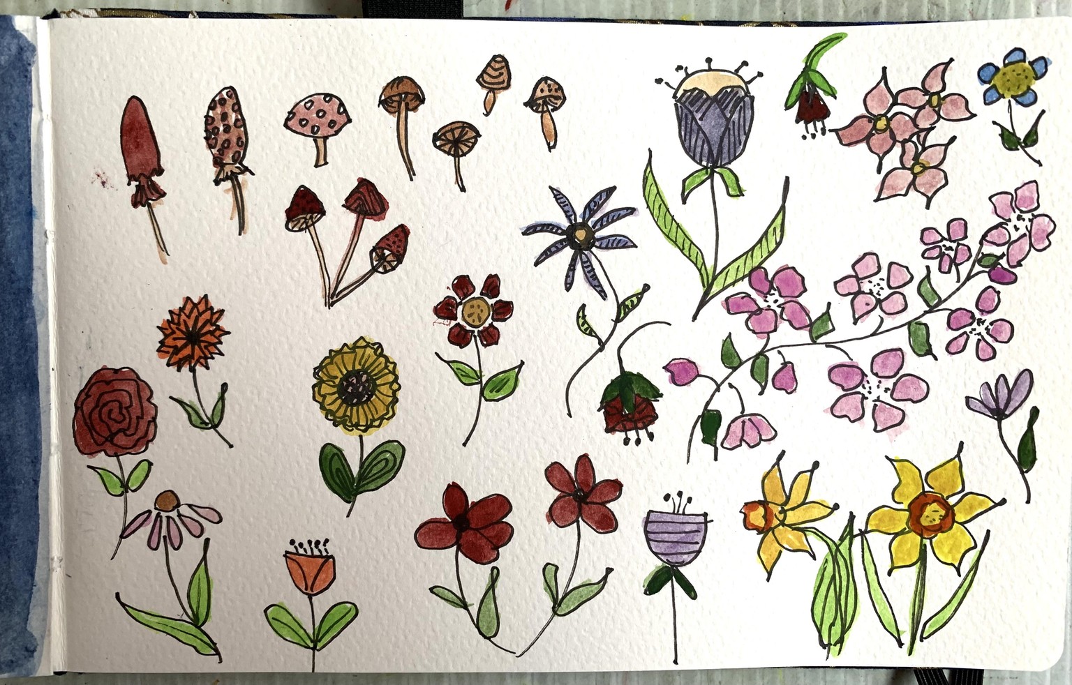 Botanical Doodles - image 2 - student project