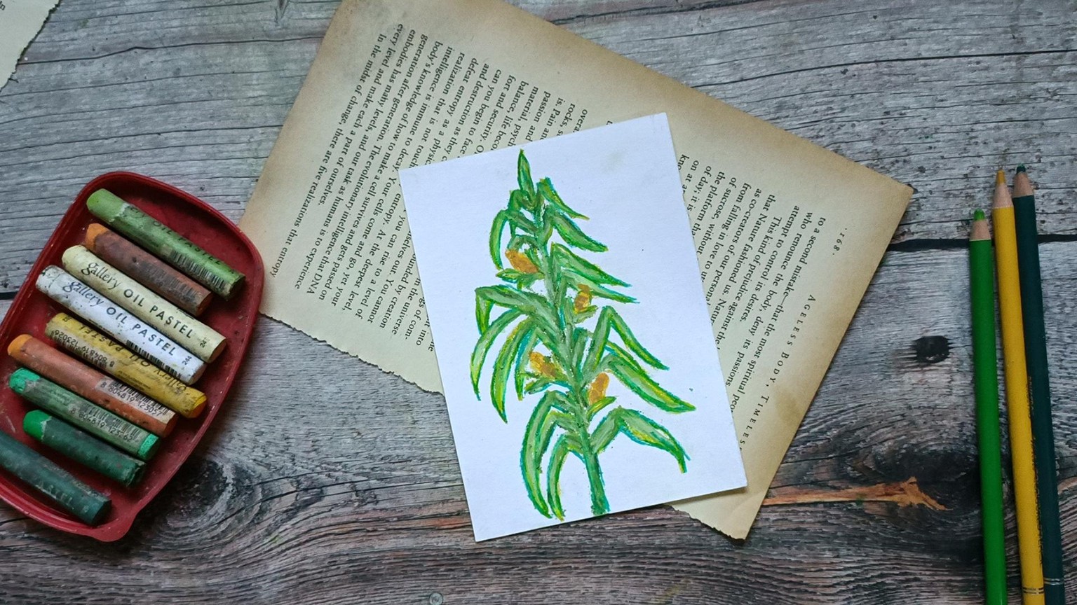 Corn - image 16 - student project