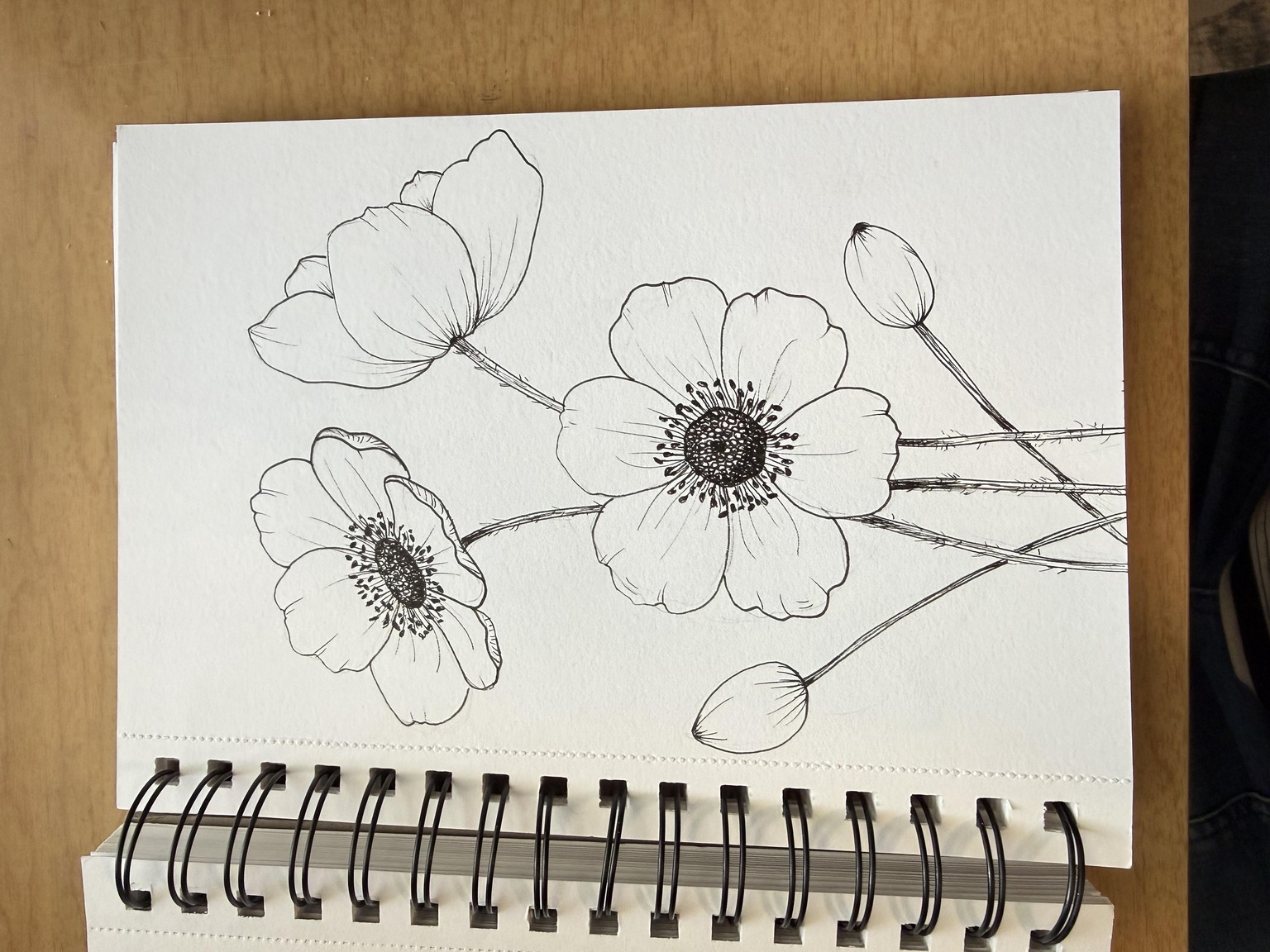 Botanical drawing for beginners - image 2 - student project