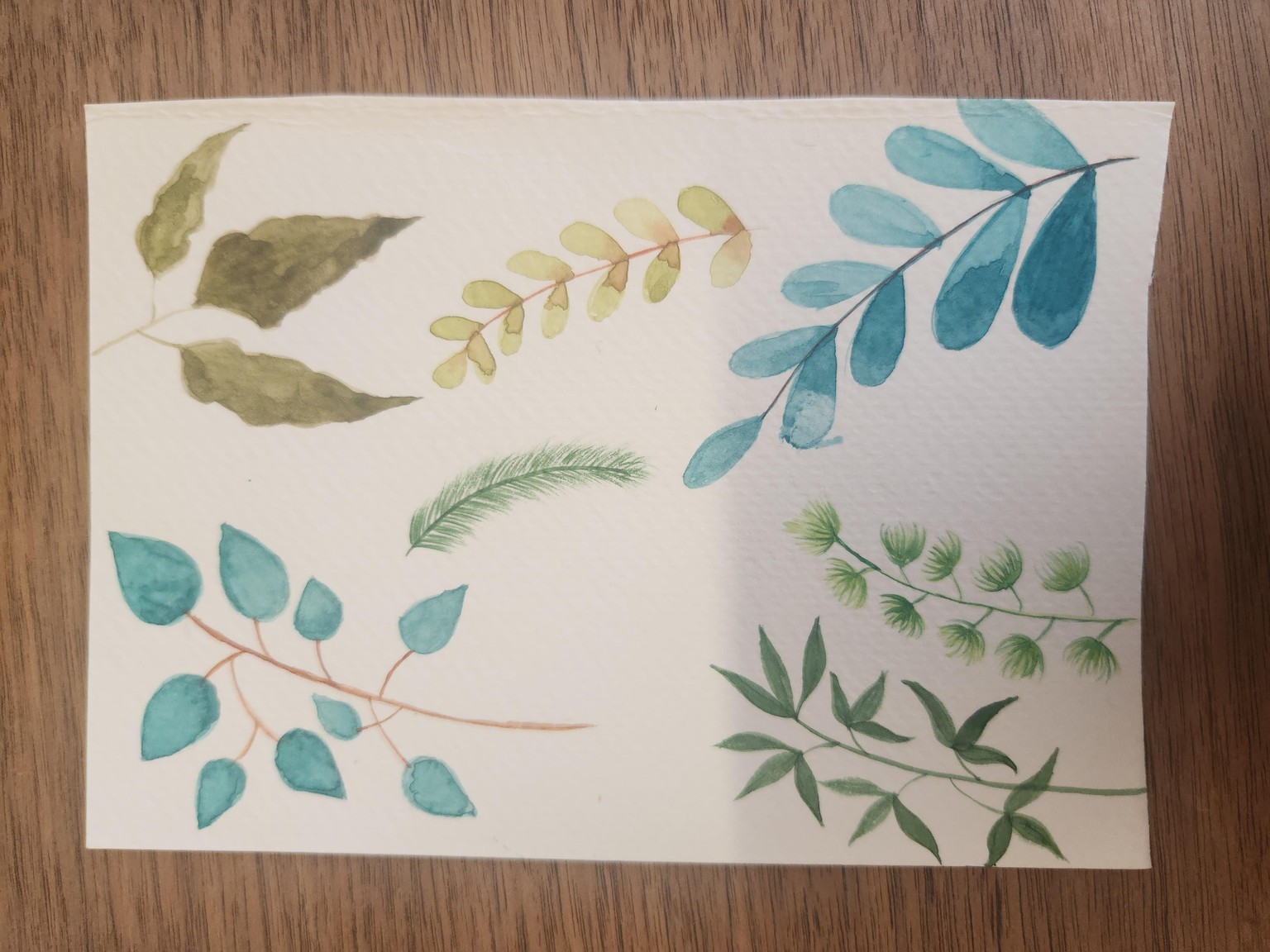 Lovely Leafy Leaves - image 5 - student project