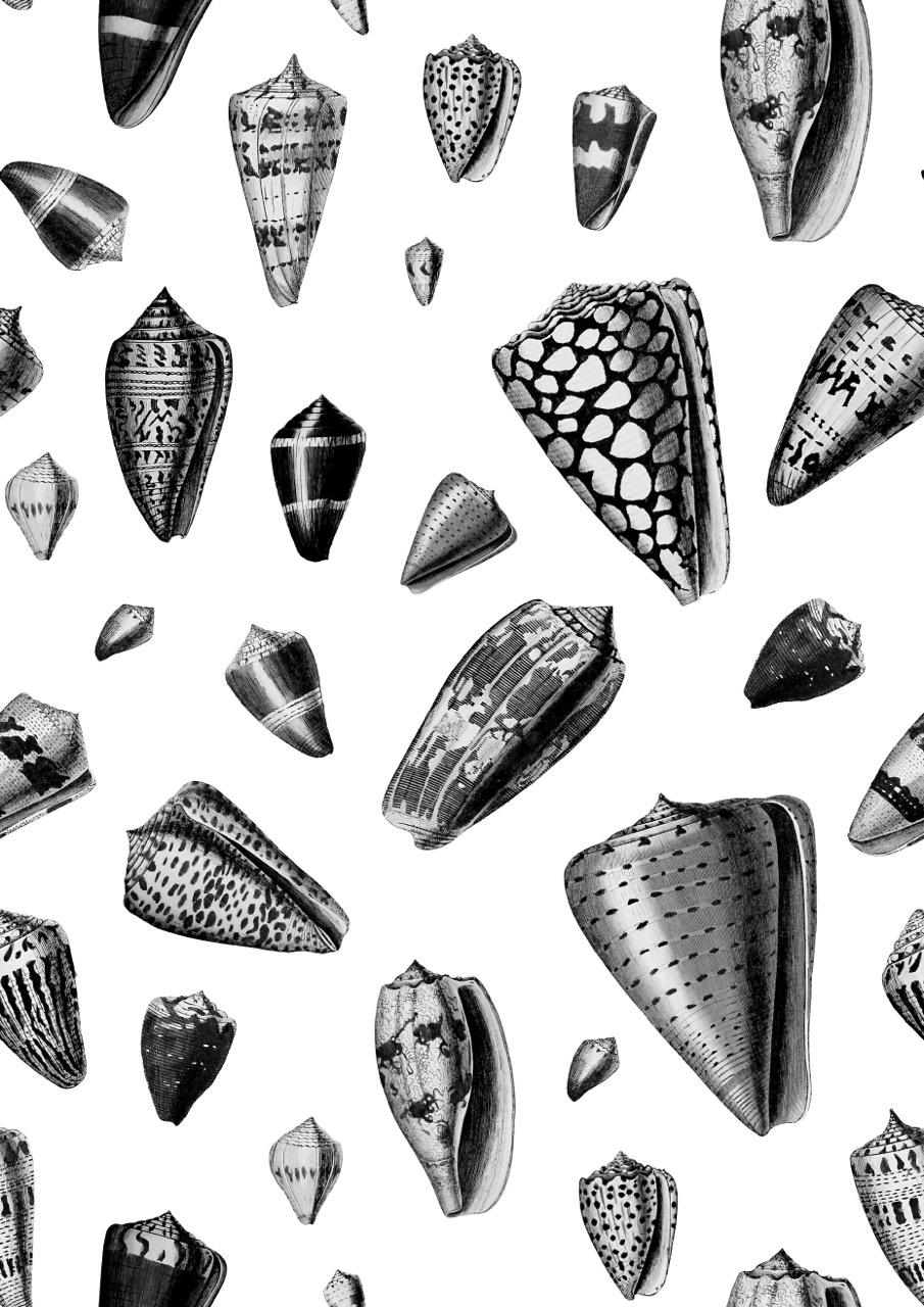 Pretty Patterns! - image 4 - student project
