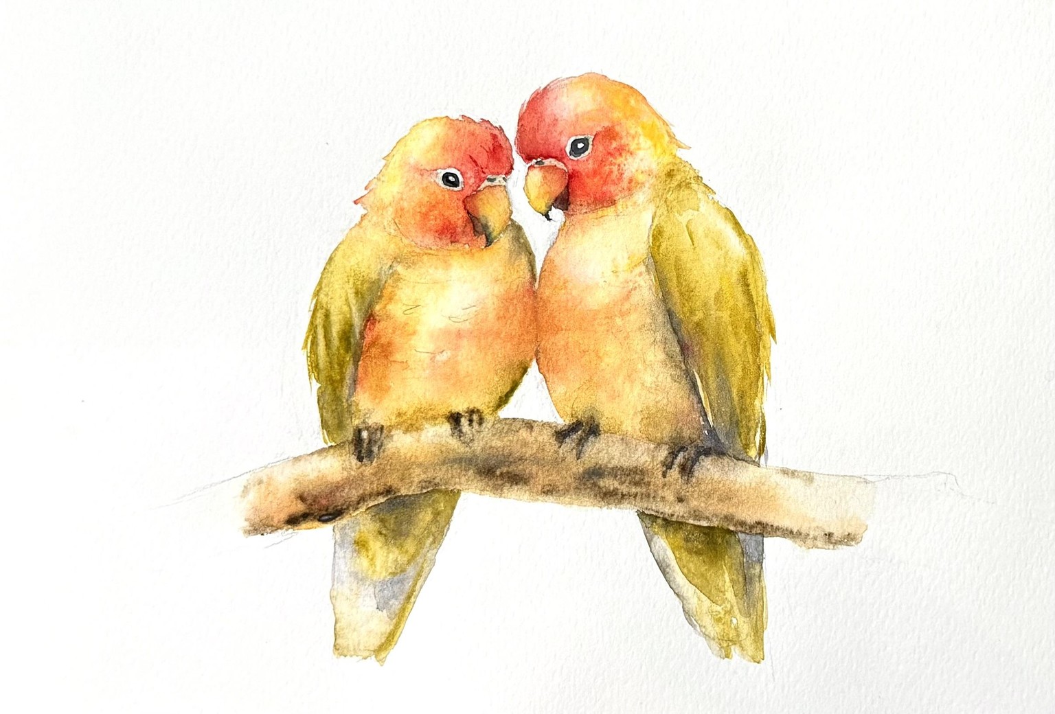 Freeflow Watercolour Lovebirds - image 1 - student project