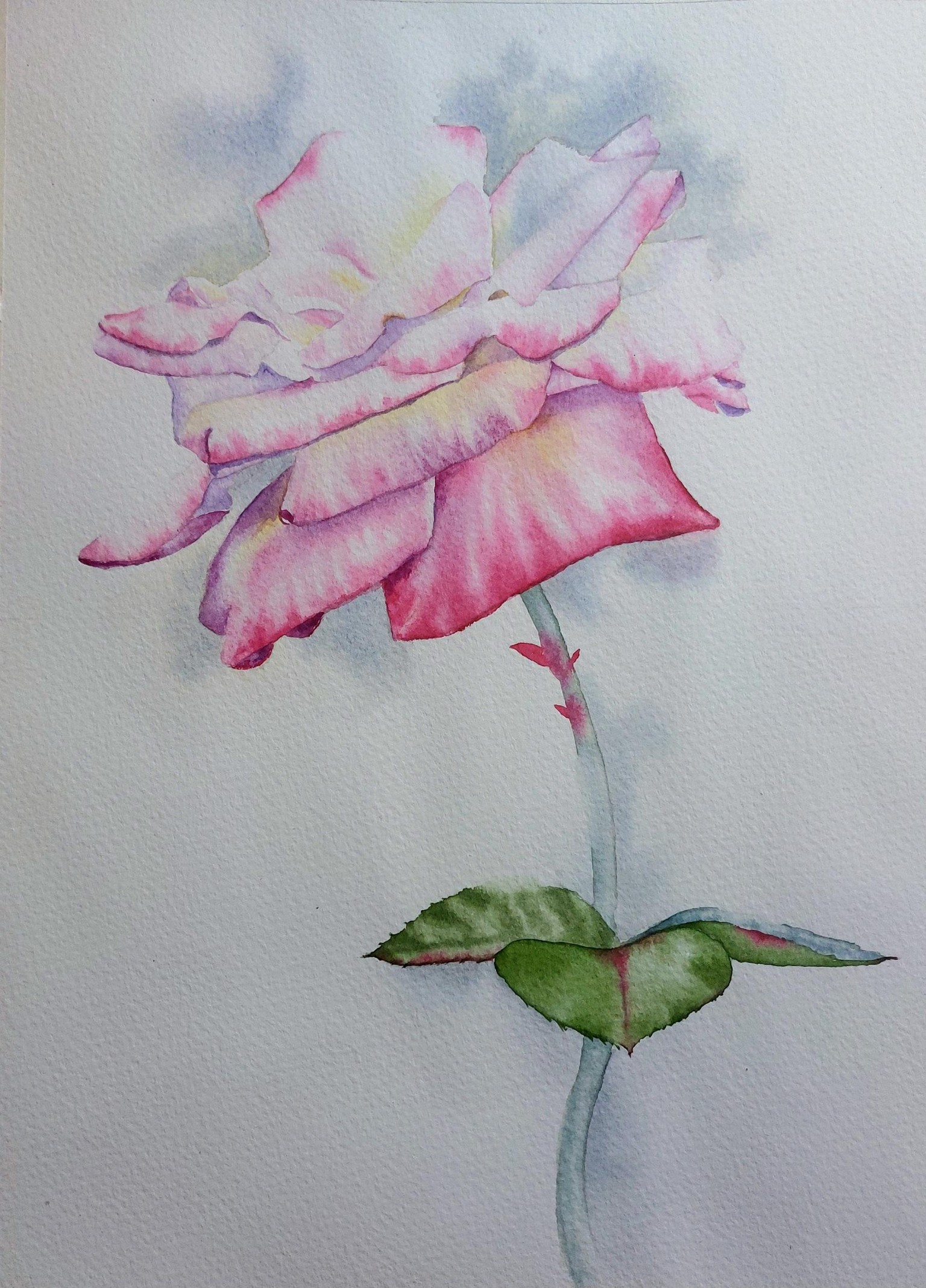 Watercolour Rose - image 1 - student project