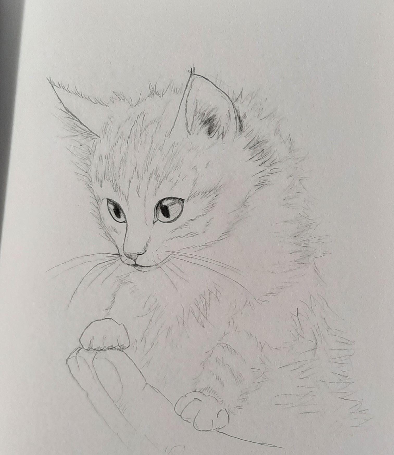My Sketches - image 1 - student project