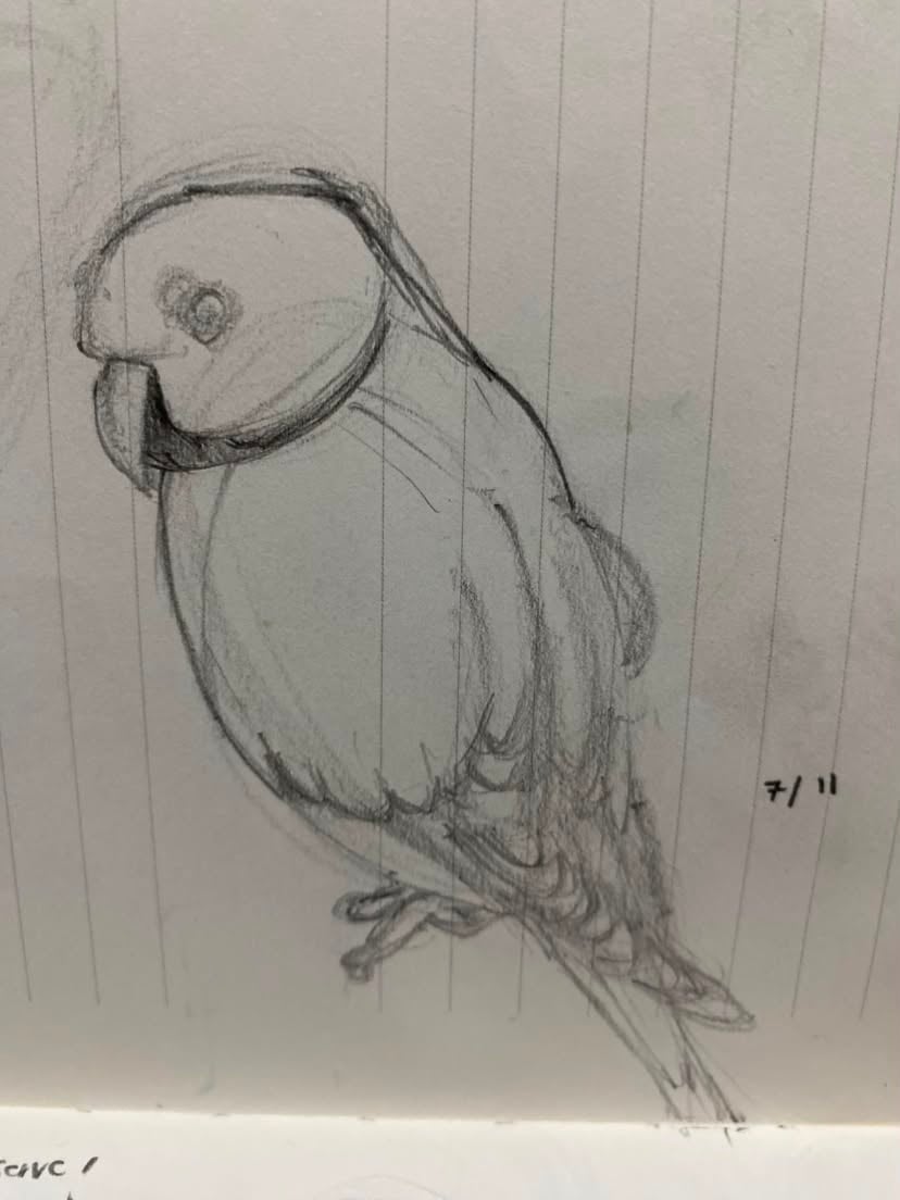 What's the verdict: cat? - image 2 - student project