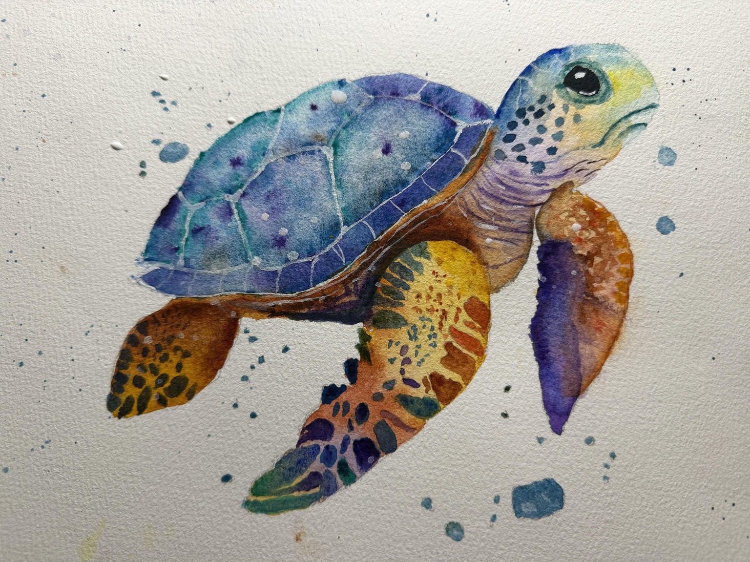 My colorful turtle - image 1 - student project