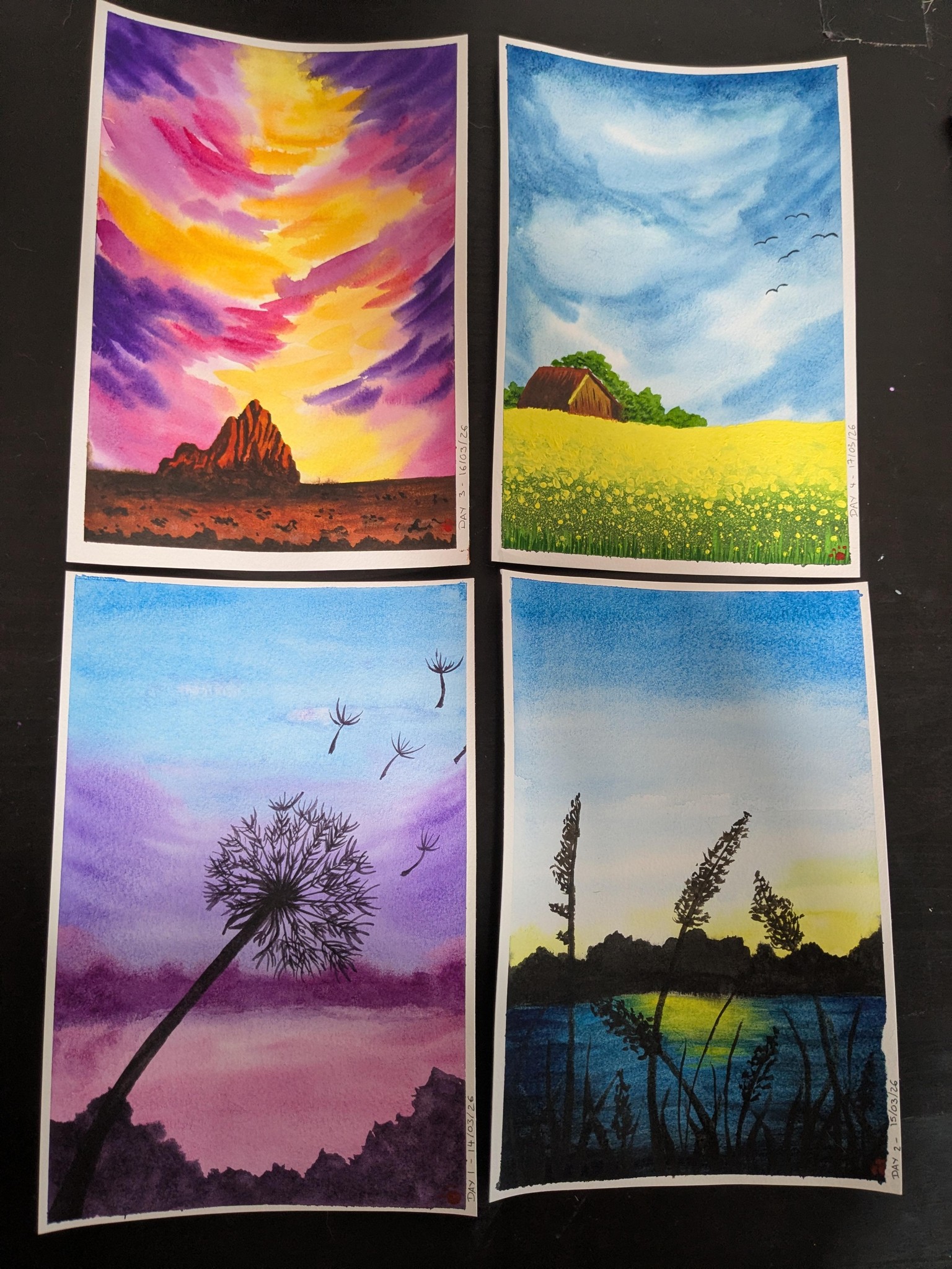 Days 1-4 - image 1 - student project