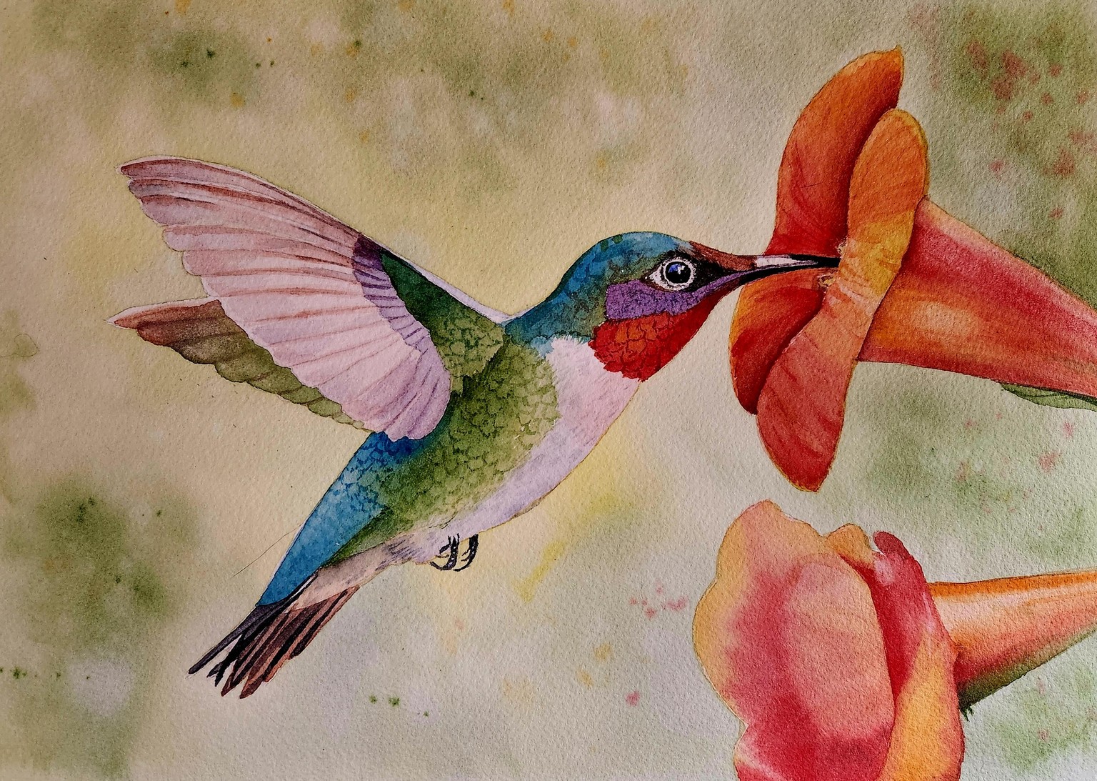 Hummingbird with Krzysztof - image 1 - student project