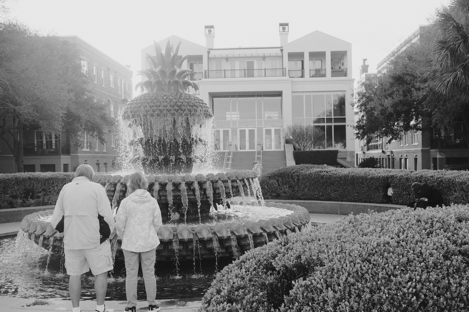First of the Month at Waterfront Park - image 1 - student project