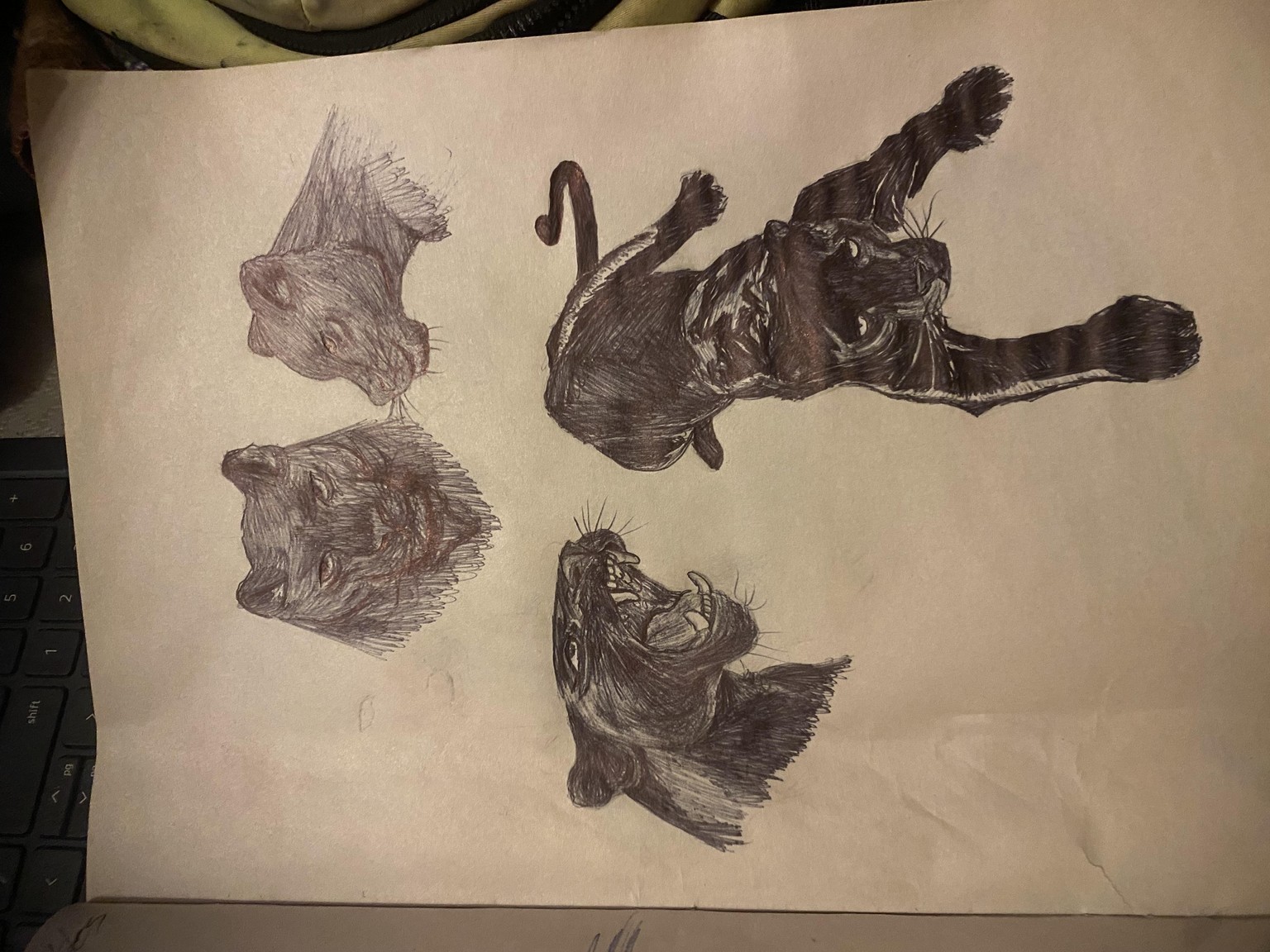 Artistic Book Of Experiments - image 6 - student project