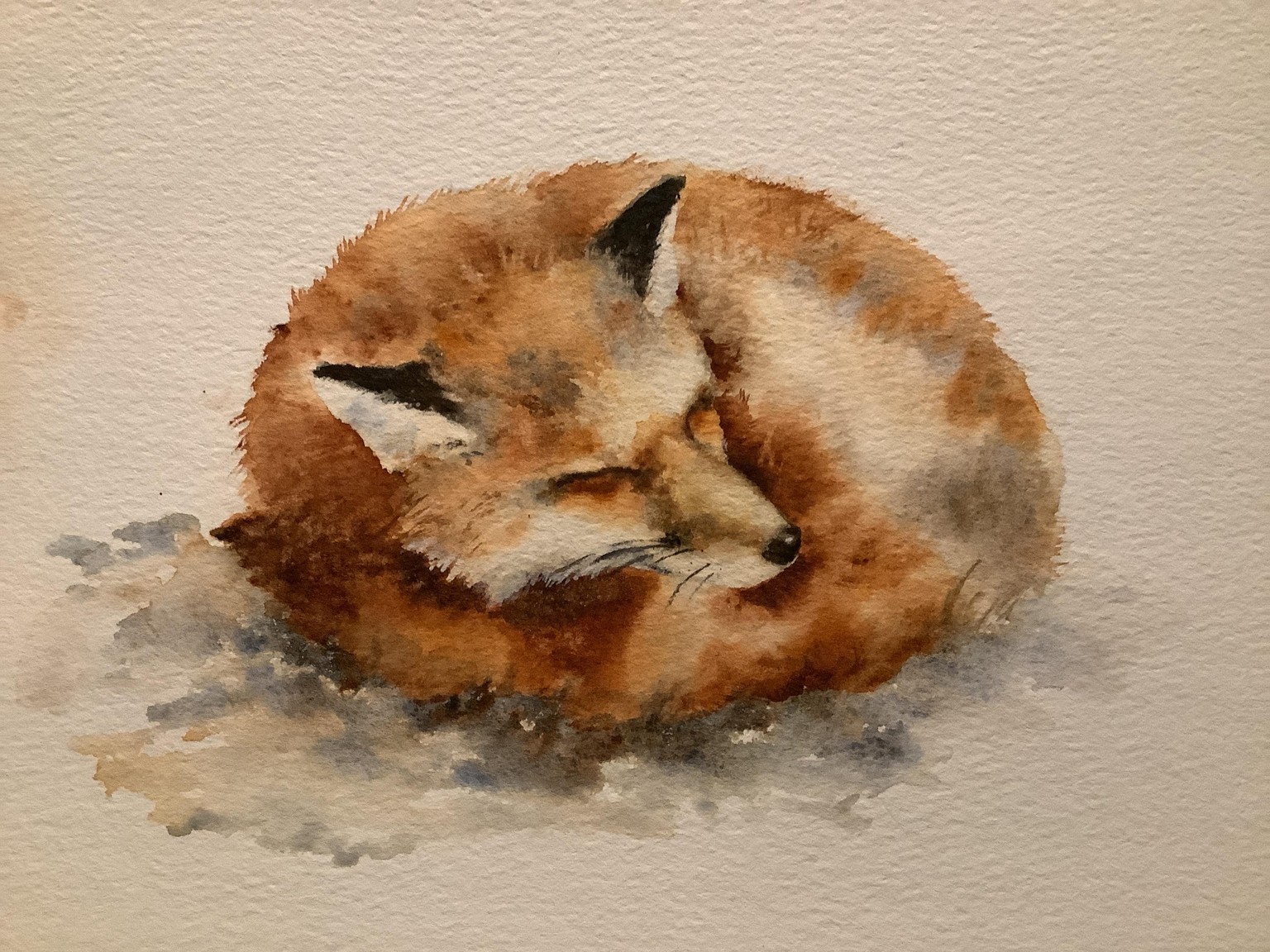 My dear little fox - image 1 - student project