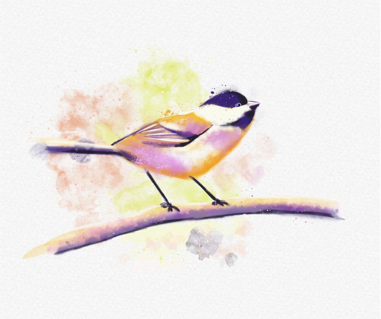 Chickadee - image 1 - student project