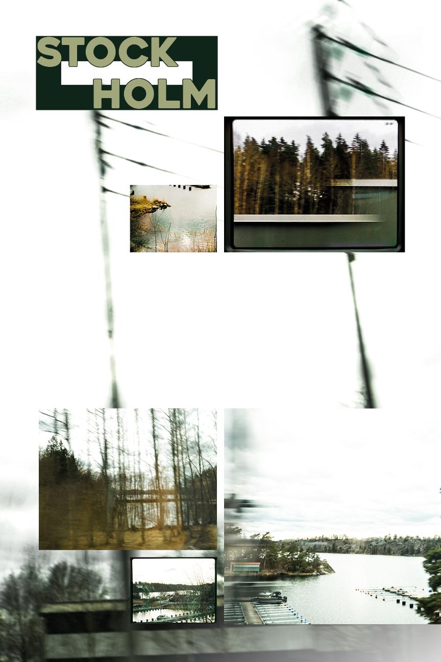 Project with grids - image 2 - student project
