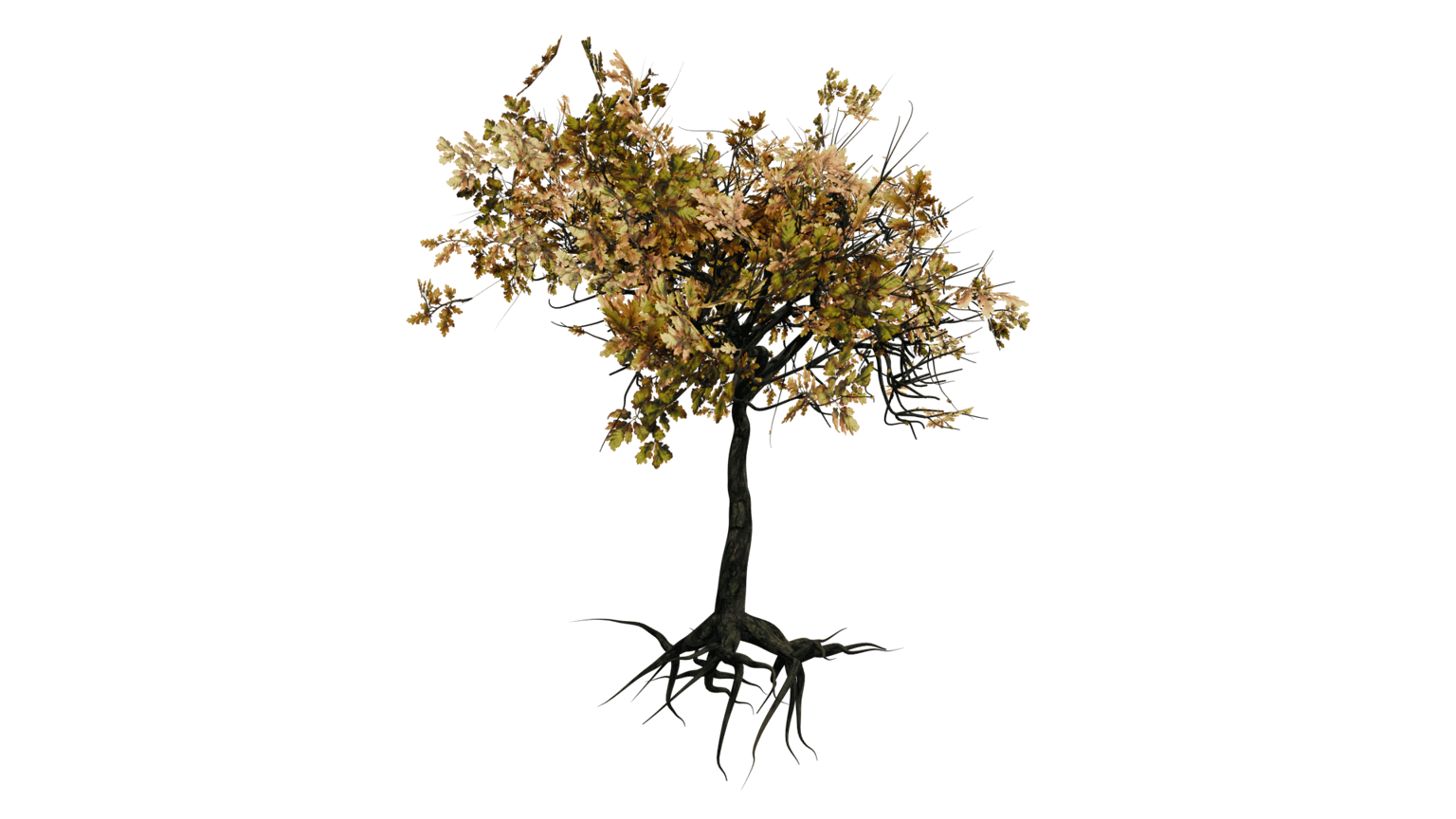 Procedural 3D Tree with Geometry Nodes - image 4 - student project