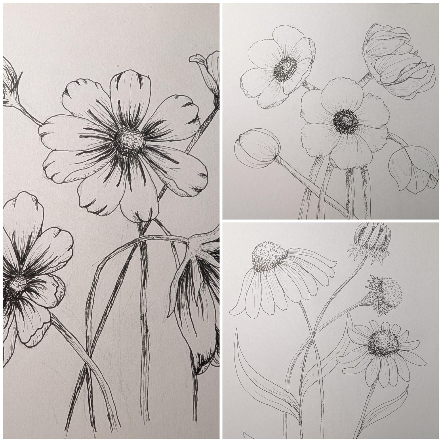 Flowery Adventure - image 1 - student project