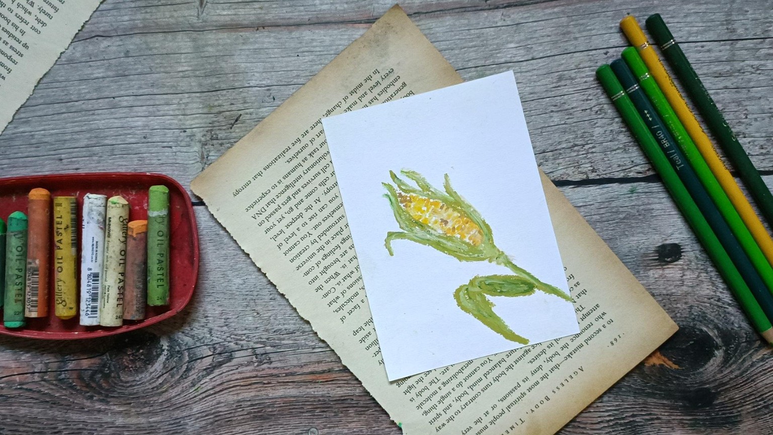 Corn - image 12 - student project