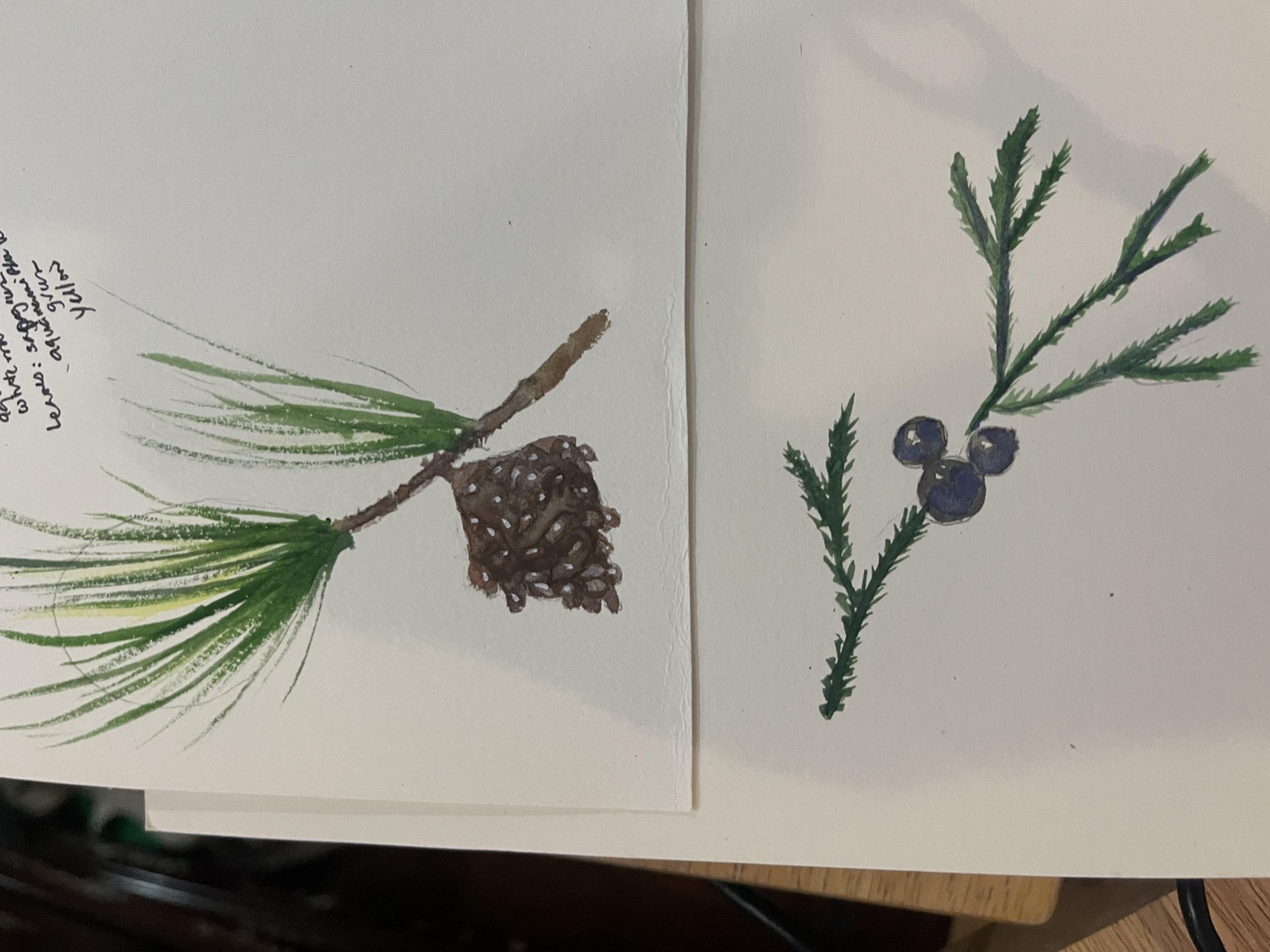 Winter Greenery - image 1 - student project