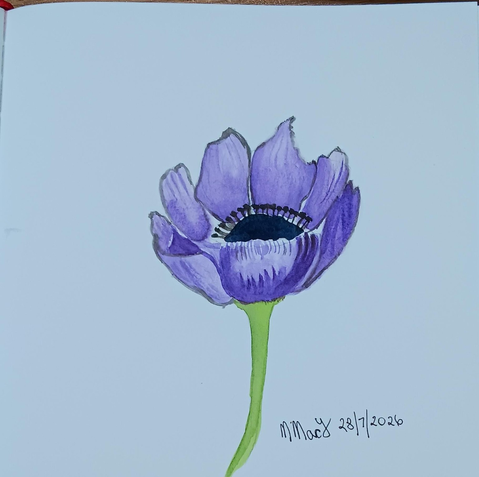 I tried to blend out the colour around the petals, but I don't think I achieved that. - image 1 - student project