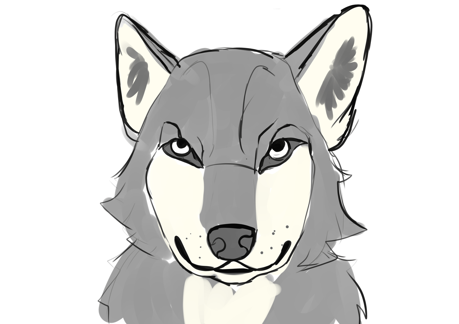 Wolf practice - image 2 - student project