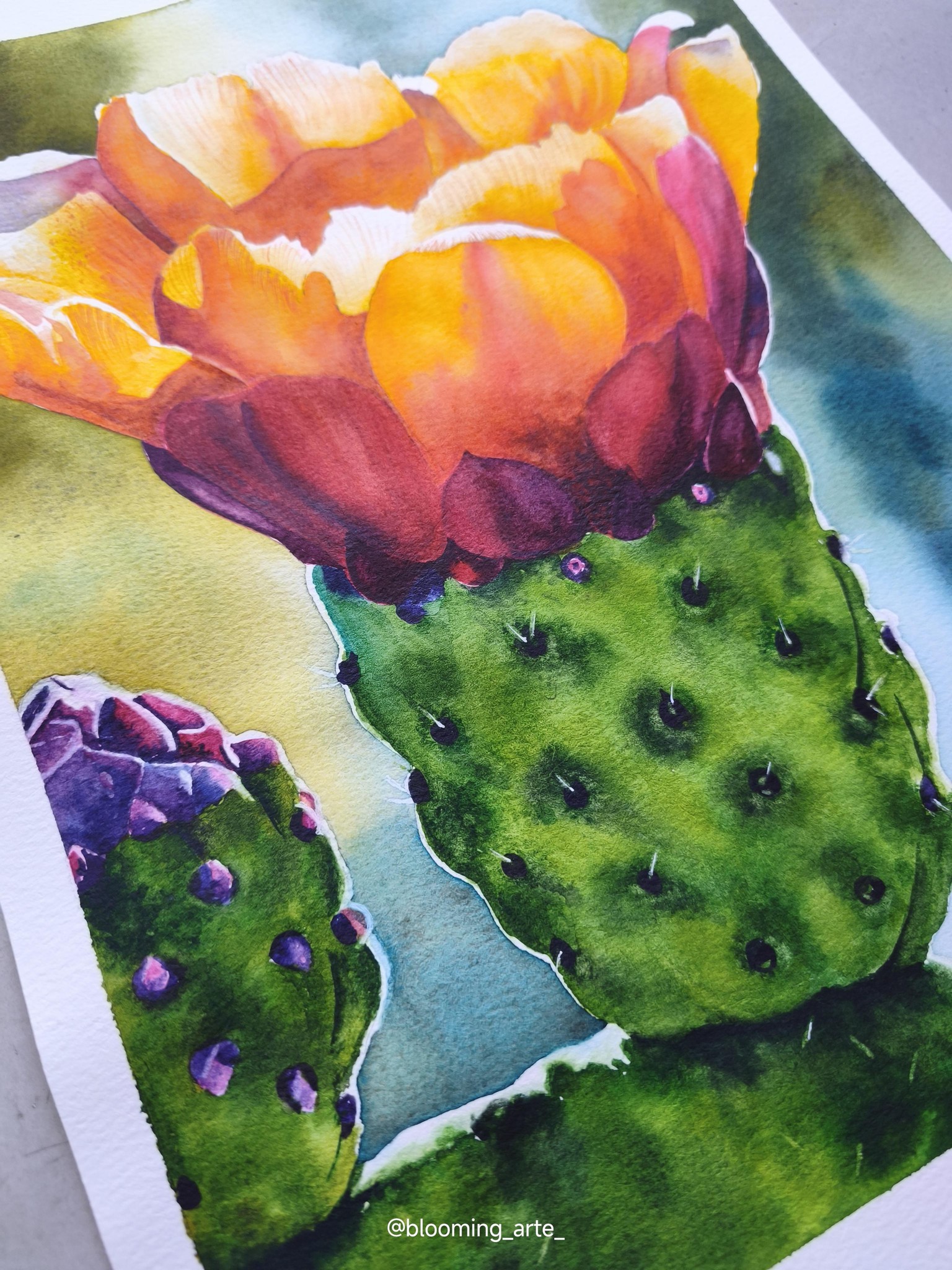 Watercolor Opuntia - image 4 - student project