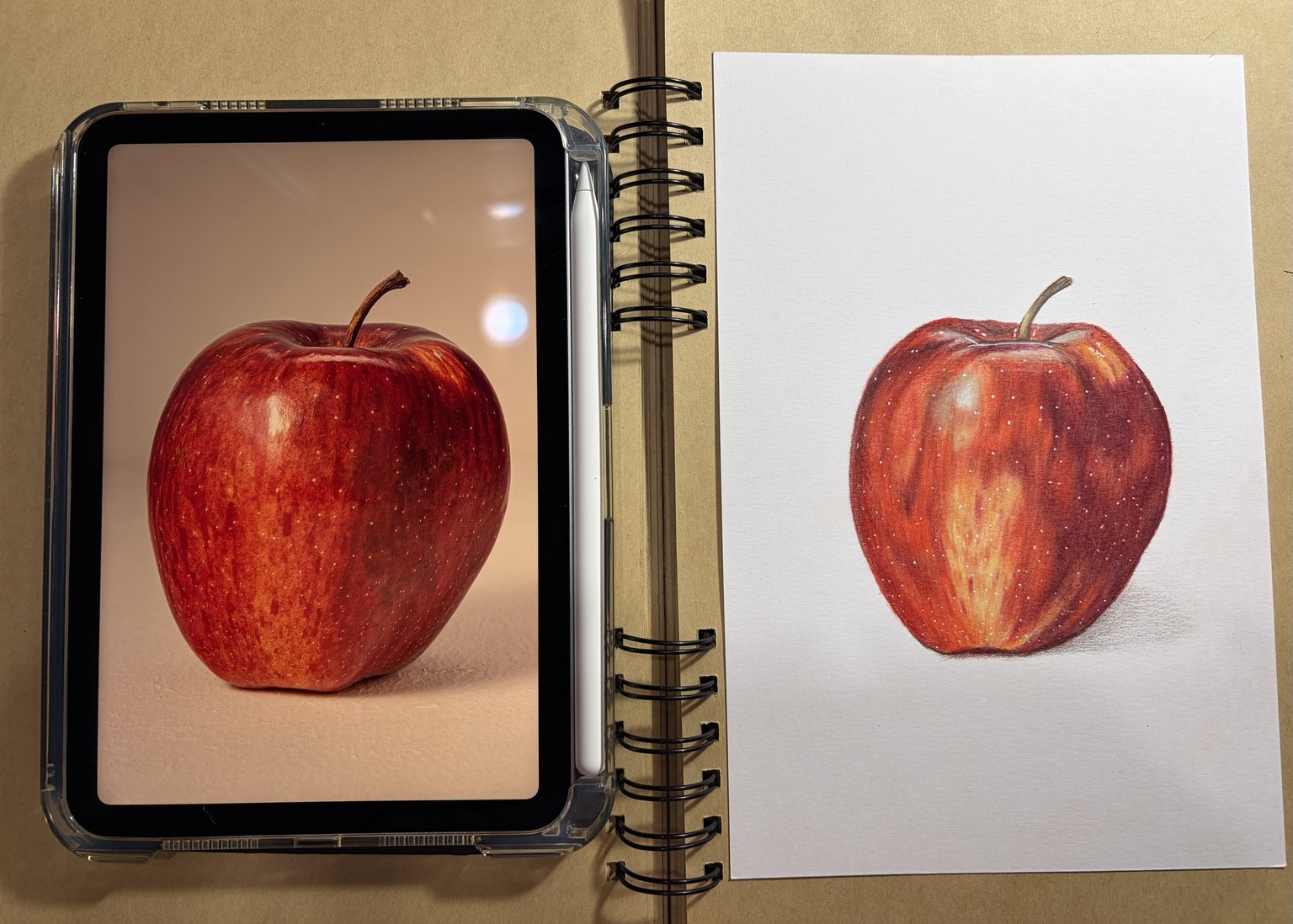 Apple in Colored Pencil - image 2 - student project