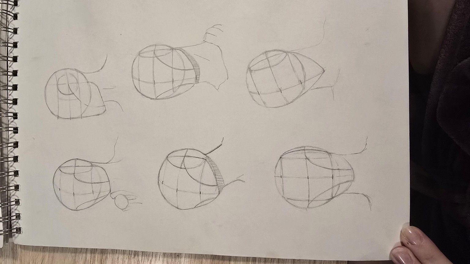 Loomis Heads - image 1 - student project