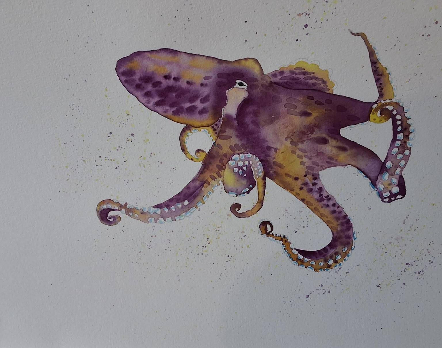 Tropical fish, octopus and jellyfish - image 1 - student project