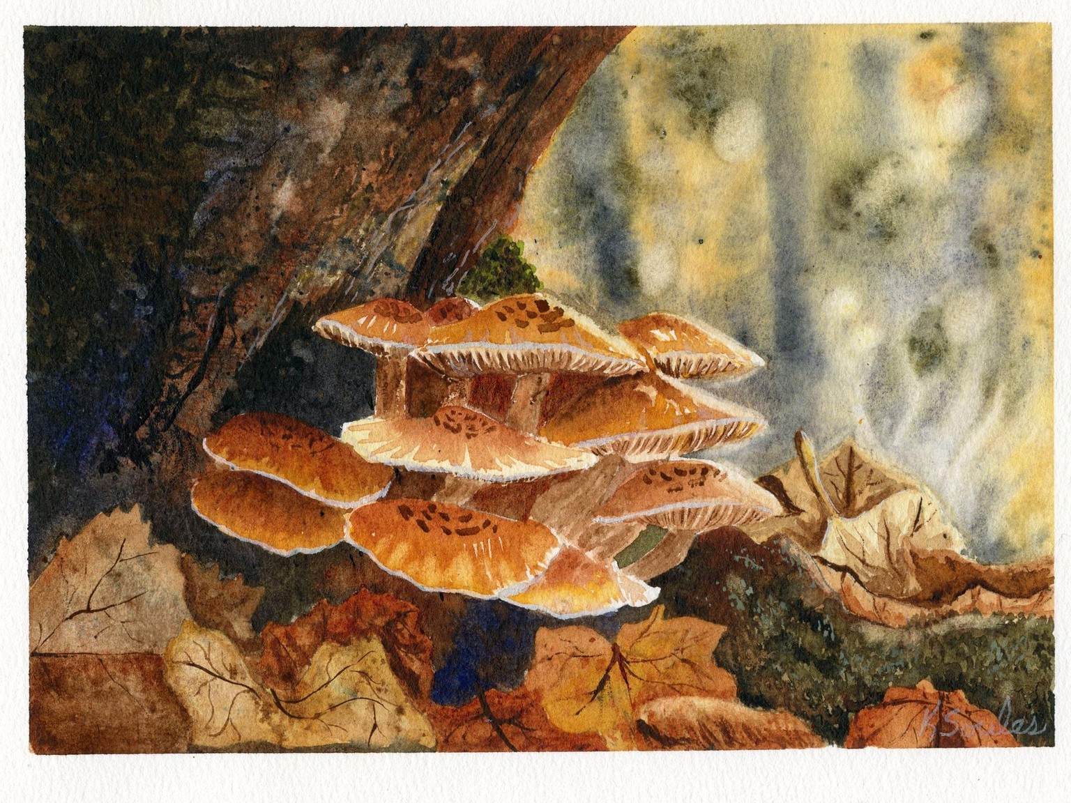Mushrooms in the Glow - image 1 - student project