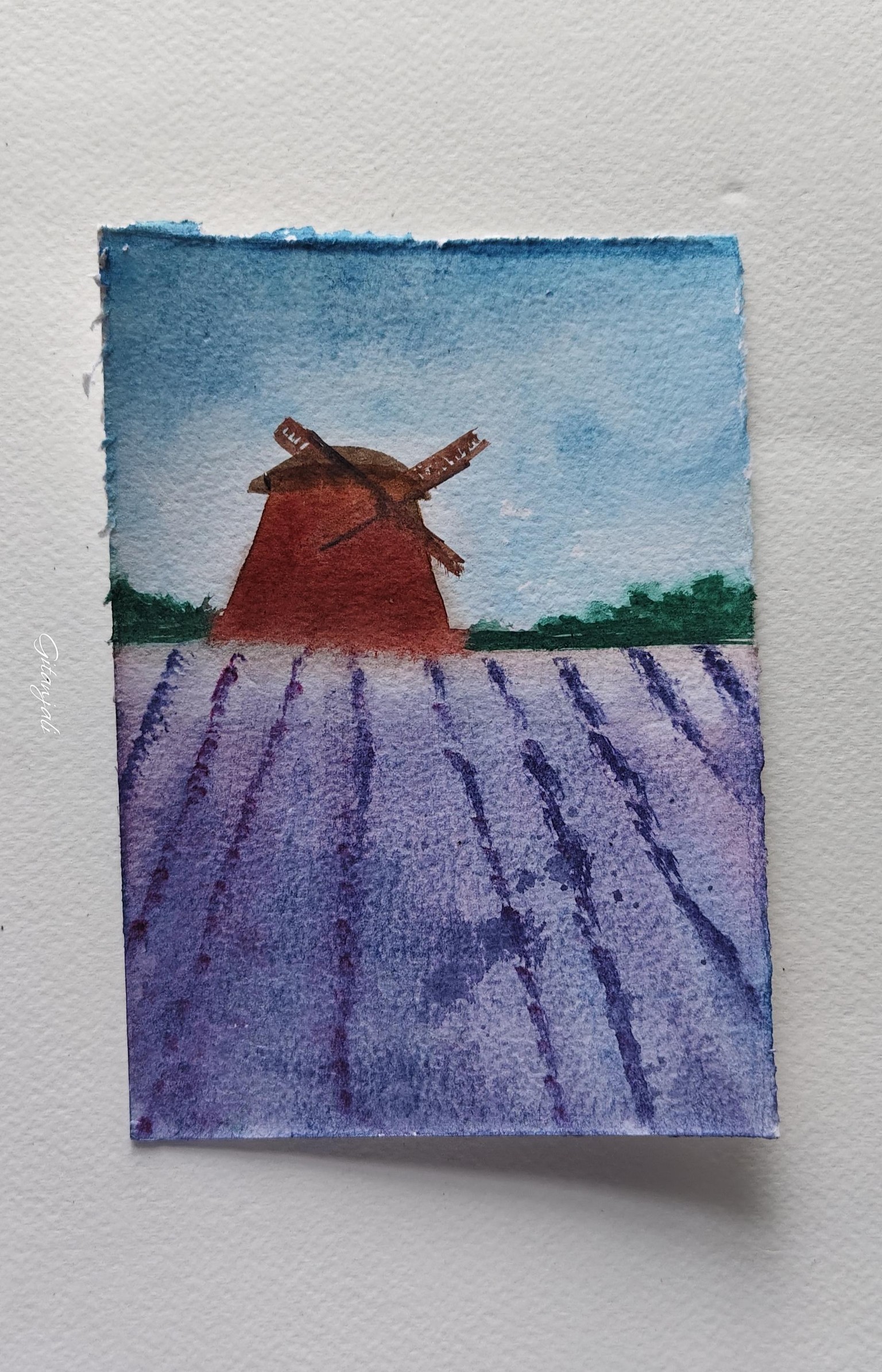 Nature - image 5 - student project