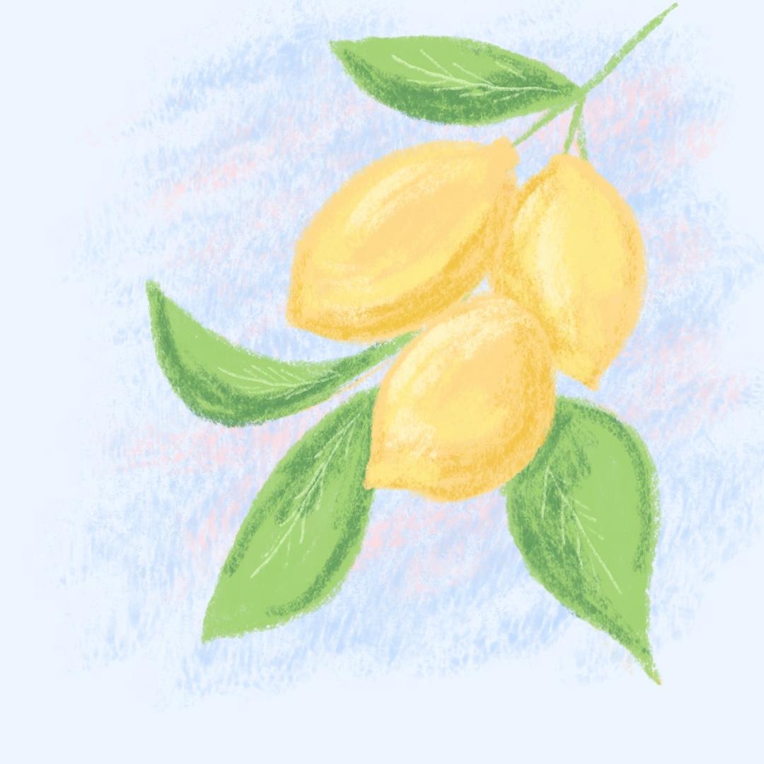 Lemon Sketch - image 1 - student project