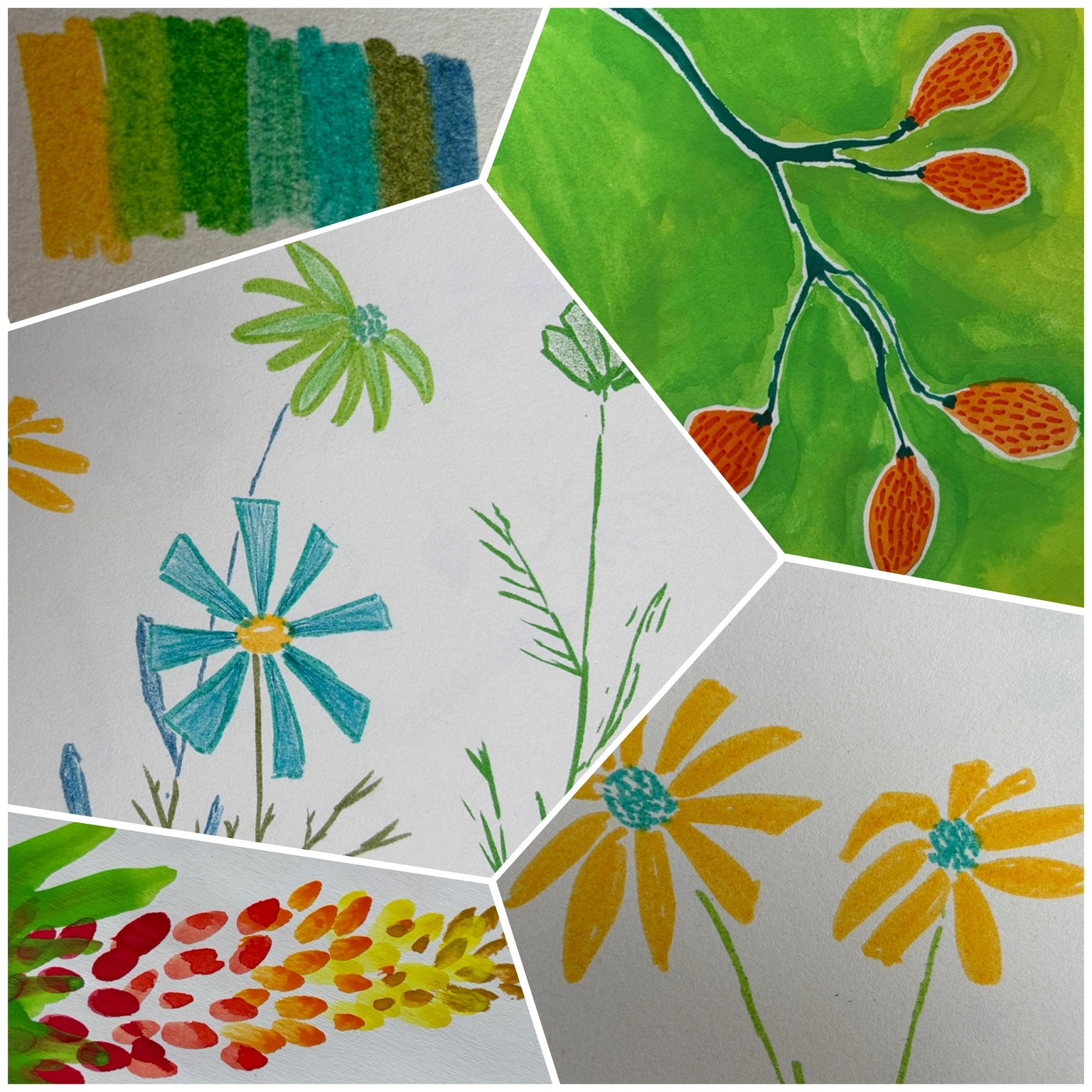 Flowers and seeds - image 1 - student project