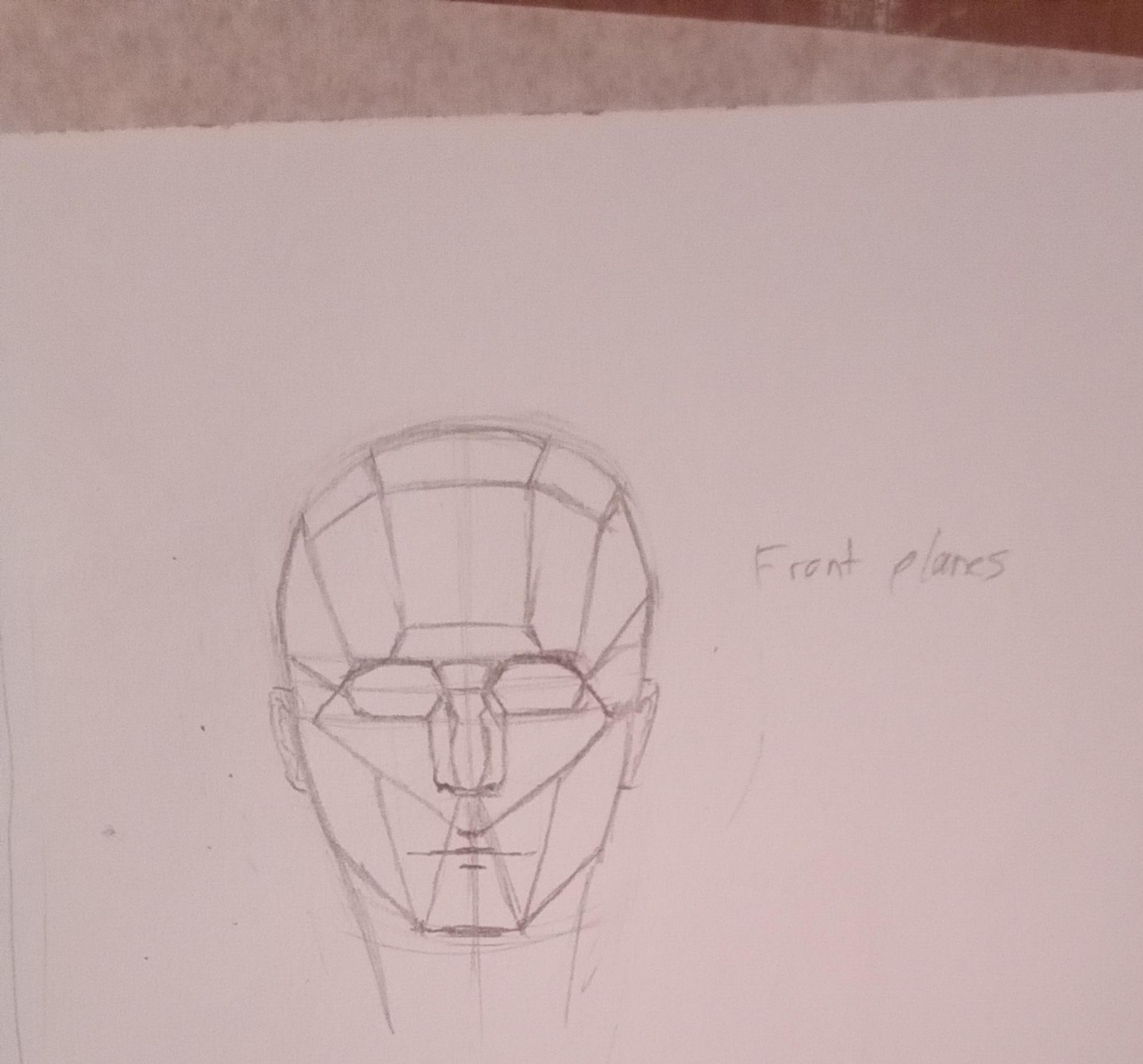 Planes of head - image 1 - student project