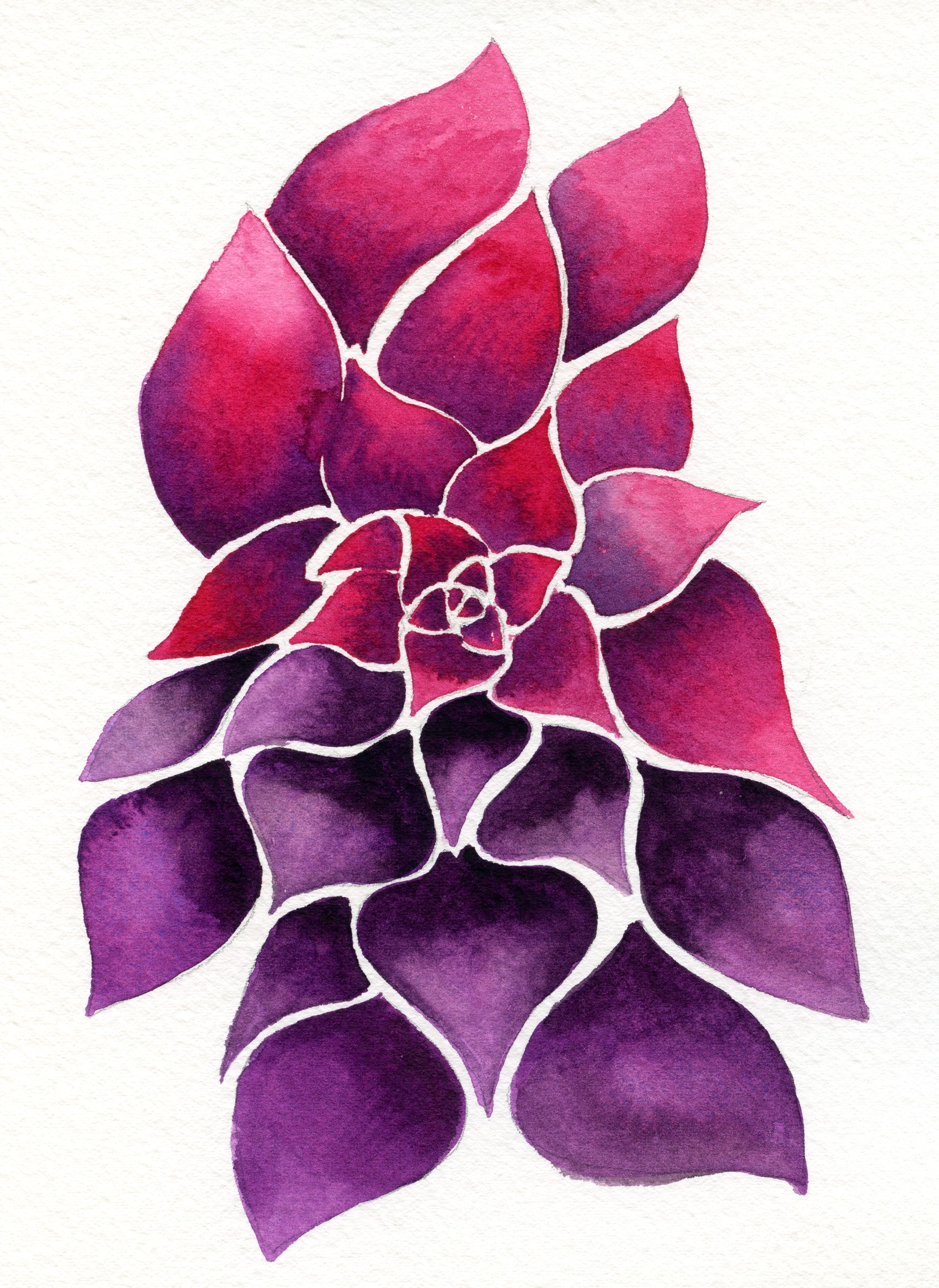 A Birthday Succulent - image 2 - student project