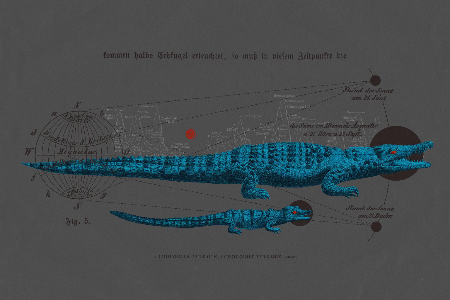 Celestial Crocodile - image 5 - student project