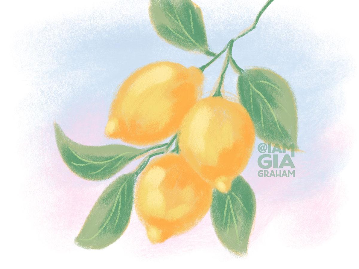 Sketchy Lemons - image 1 - student project