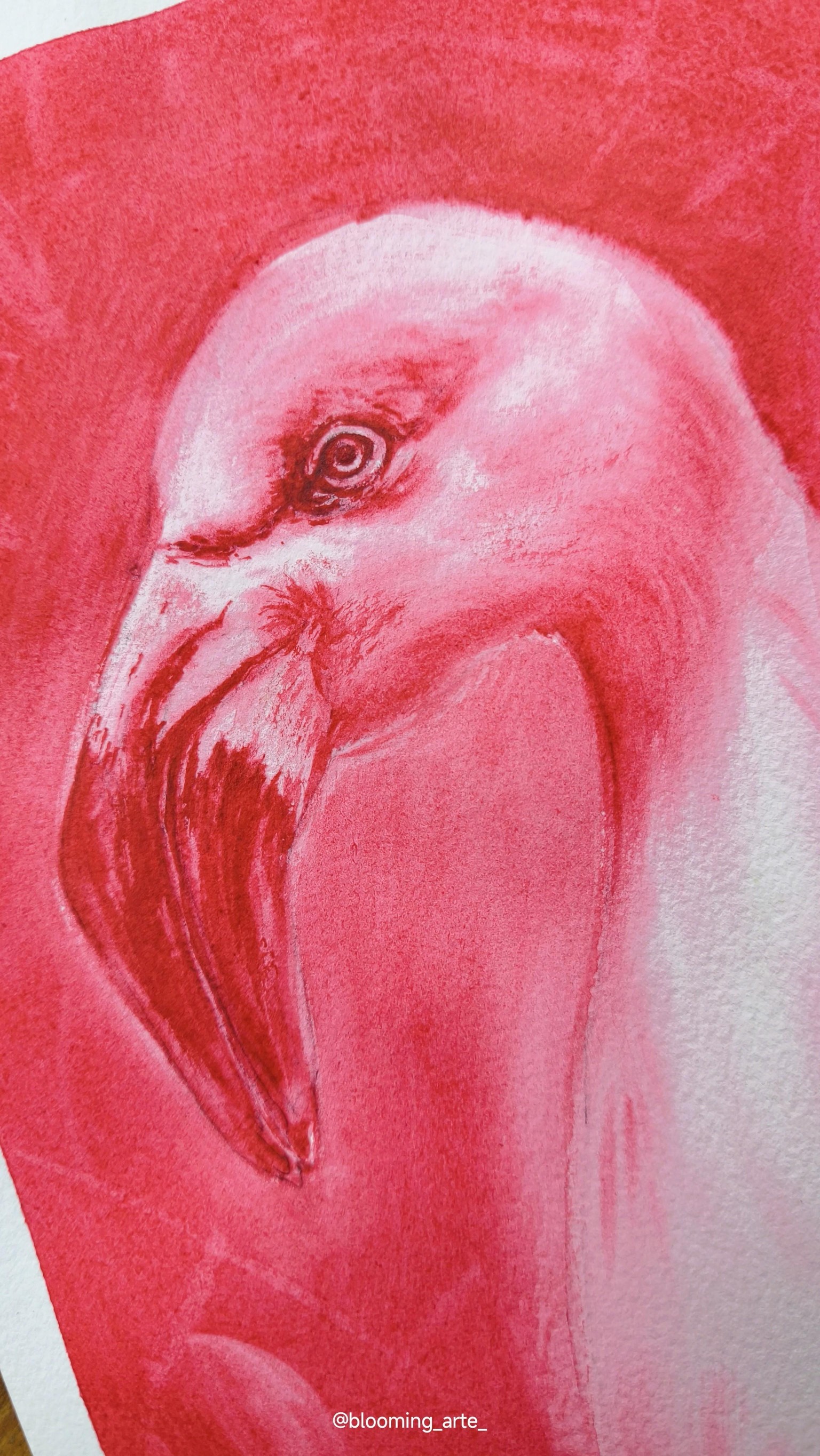 Monochrome Watercolor Birds - image 2 - student project